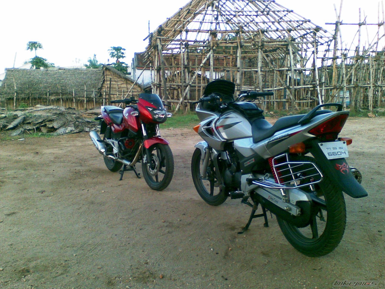 Photo 1286797