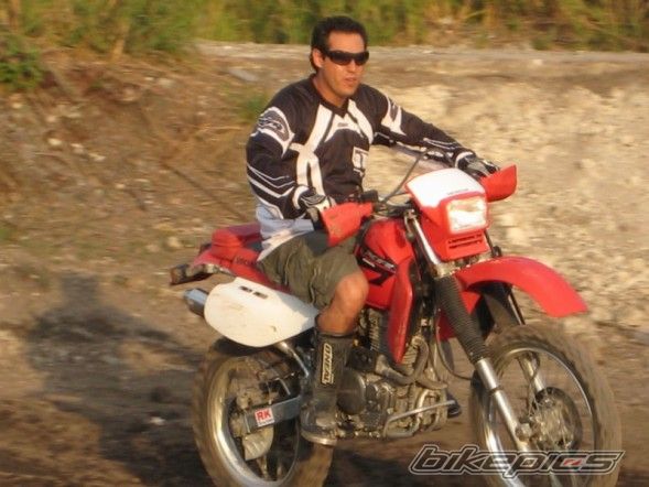 Photo 1286798