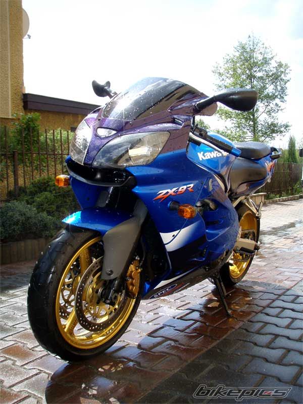Photo 1286832