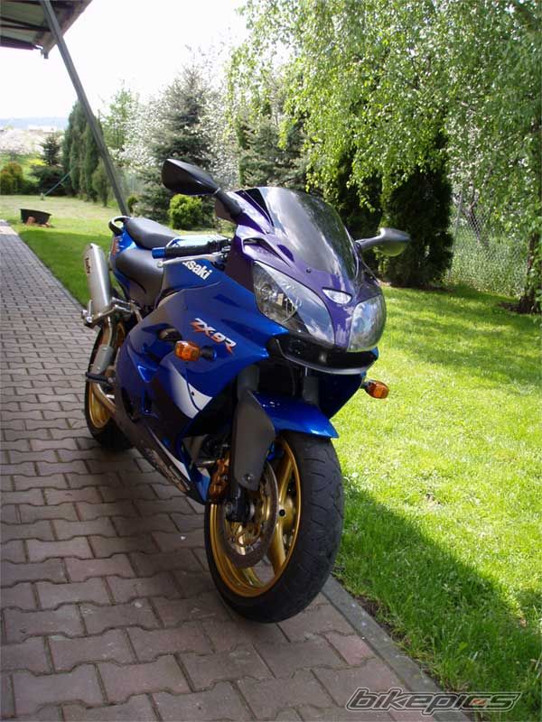Photo 1286834