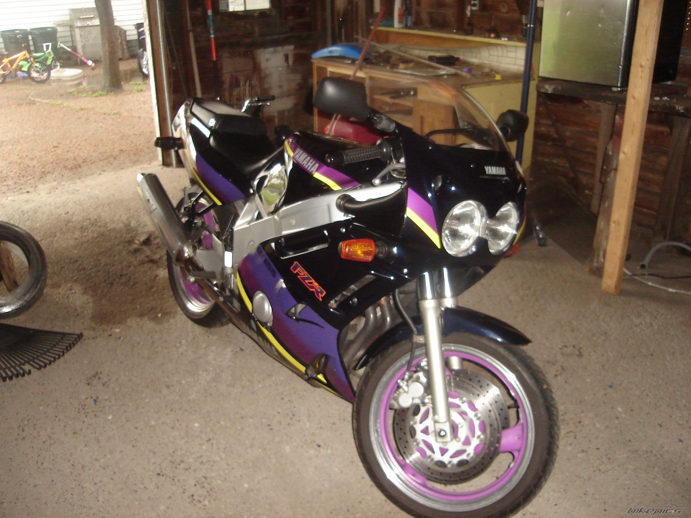 Photo 1286910