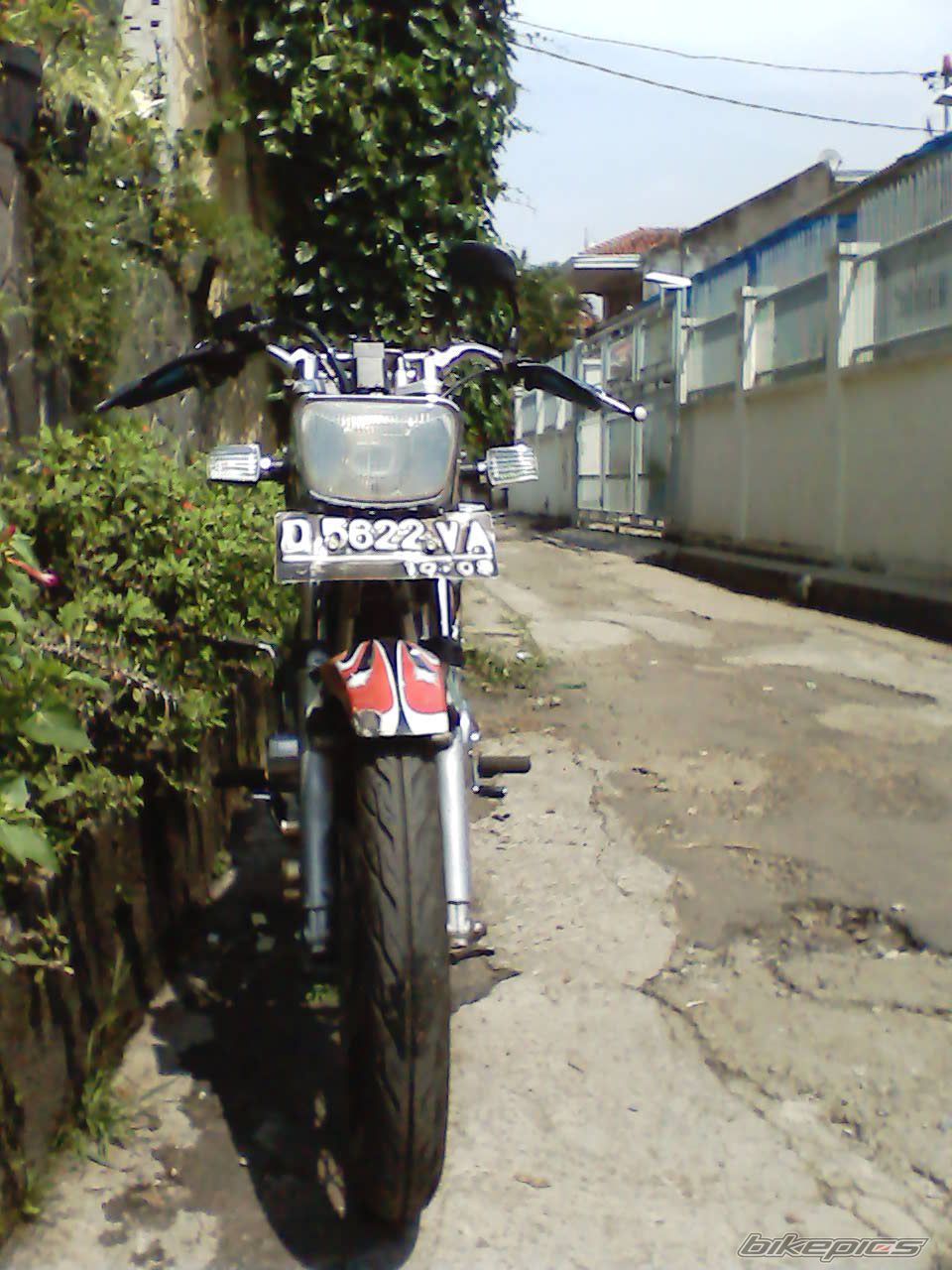 Photo 1286931