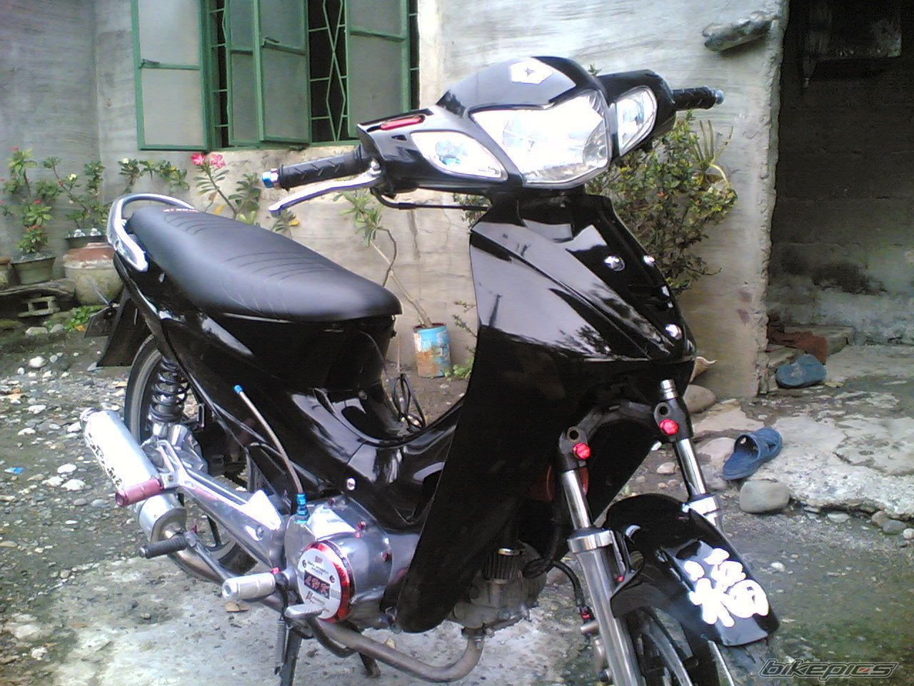 Photo 1286947