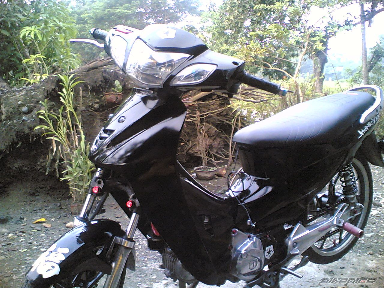 Photo 1286948