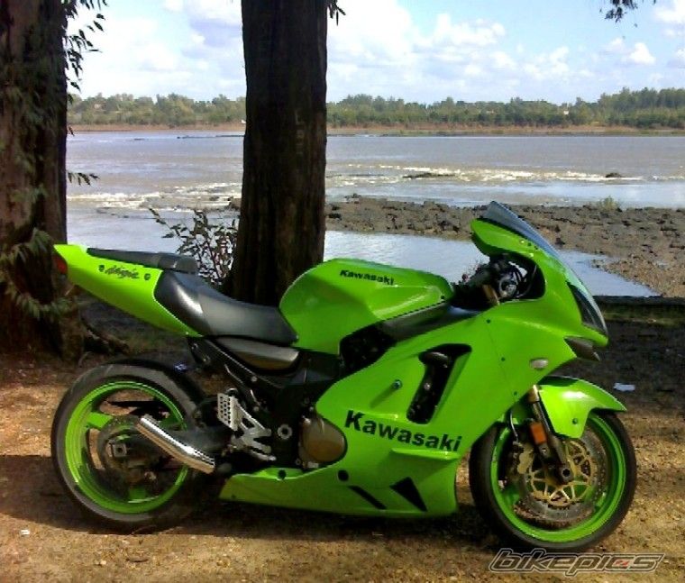 Photo 1286964