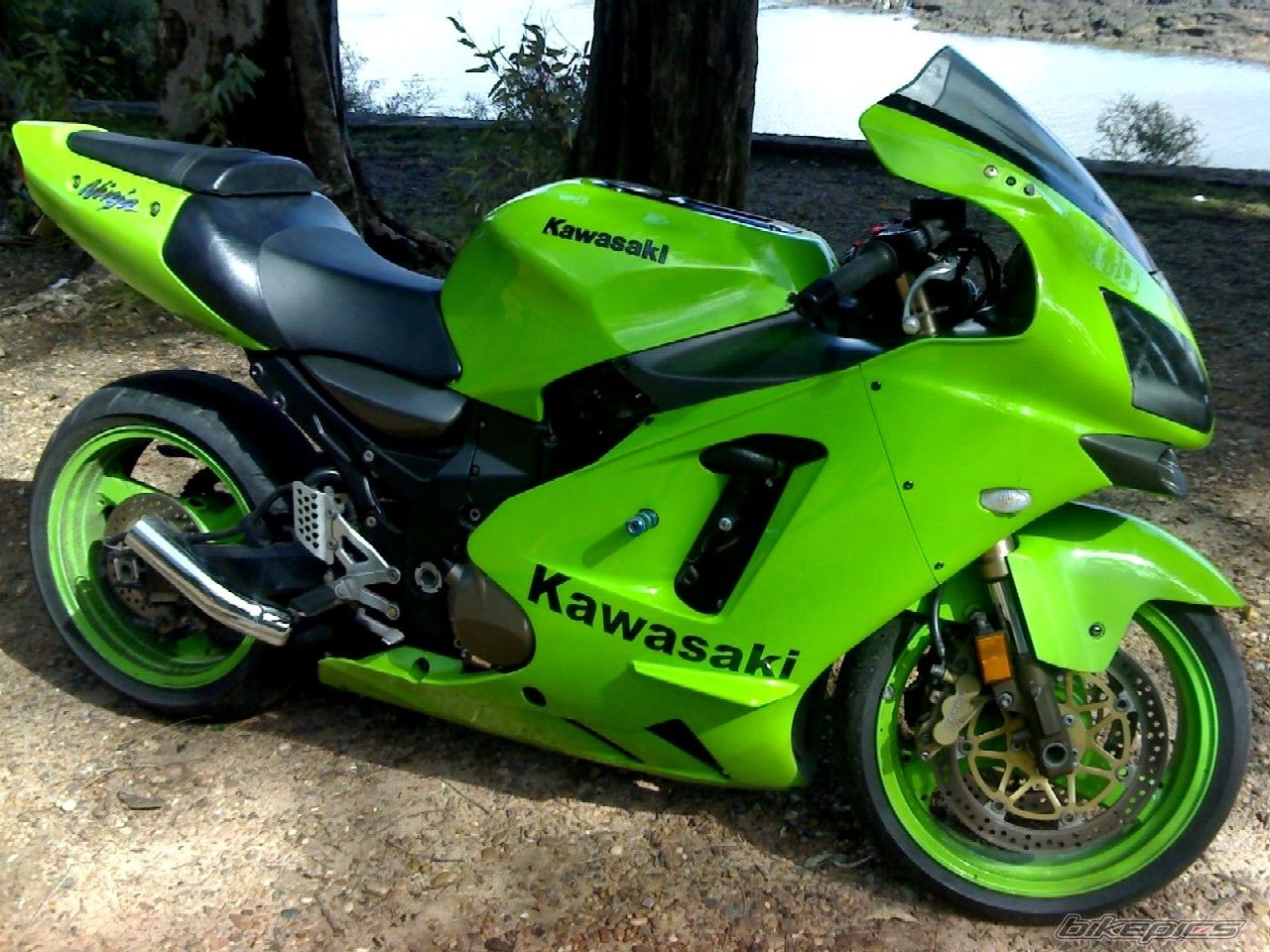 Photo 1286966