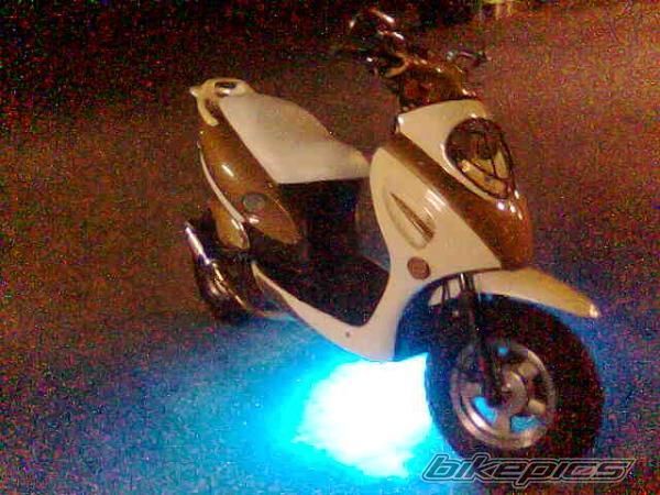 Photo 1287011