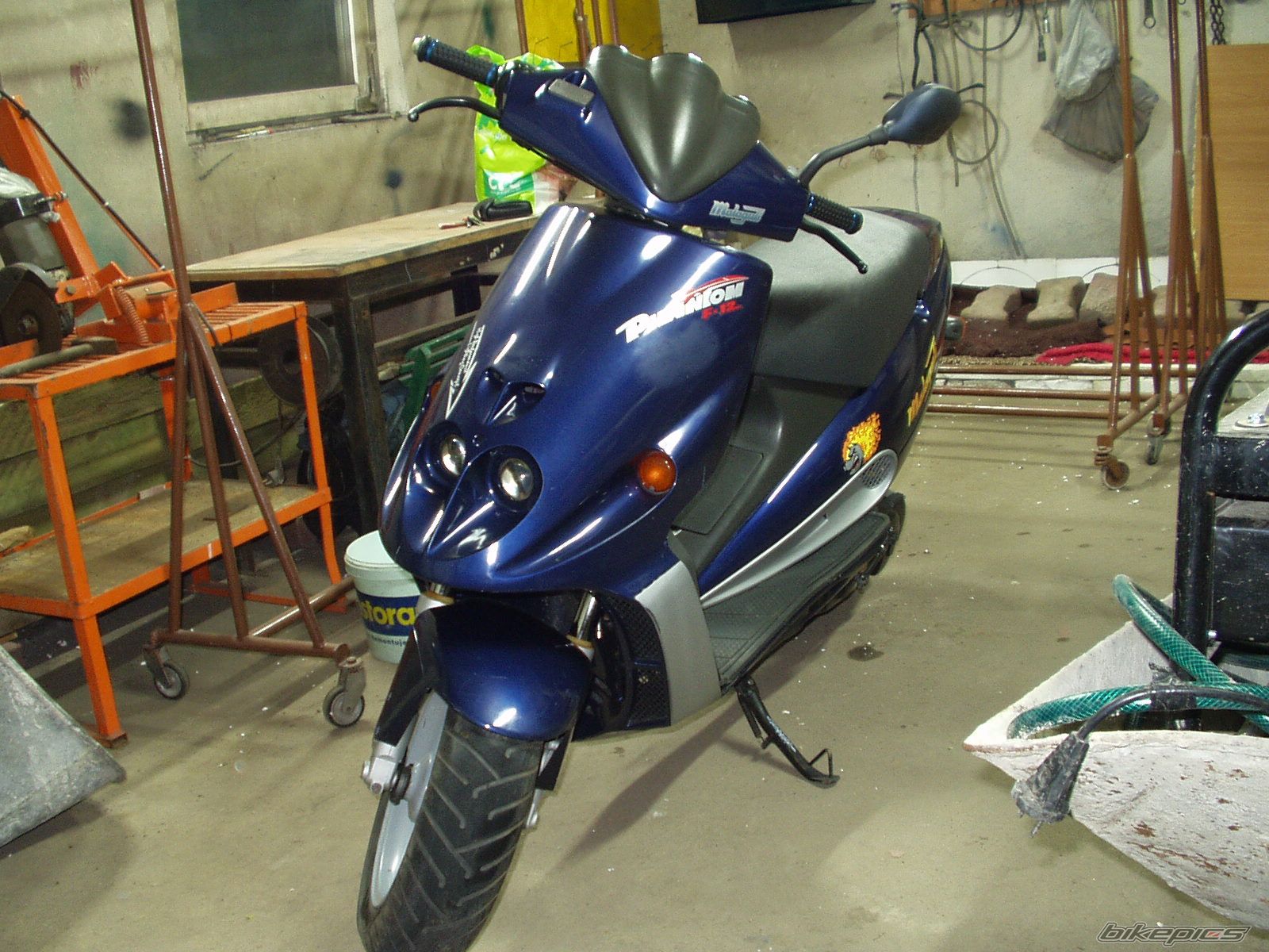 Photo 1287082
