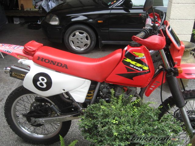 Photo 1287096