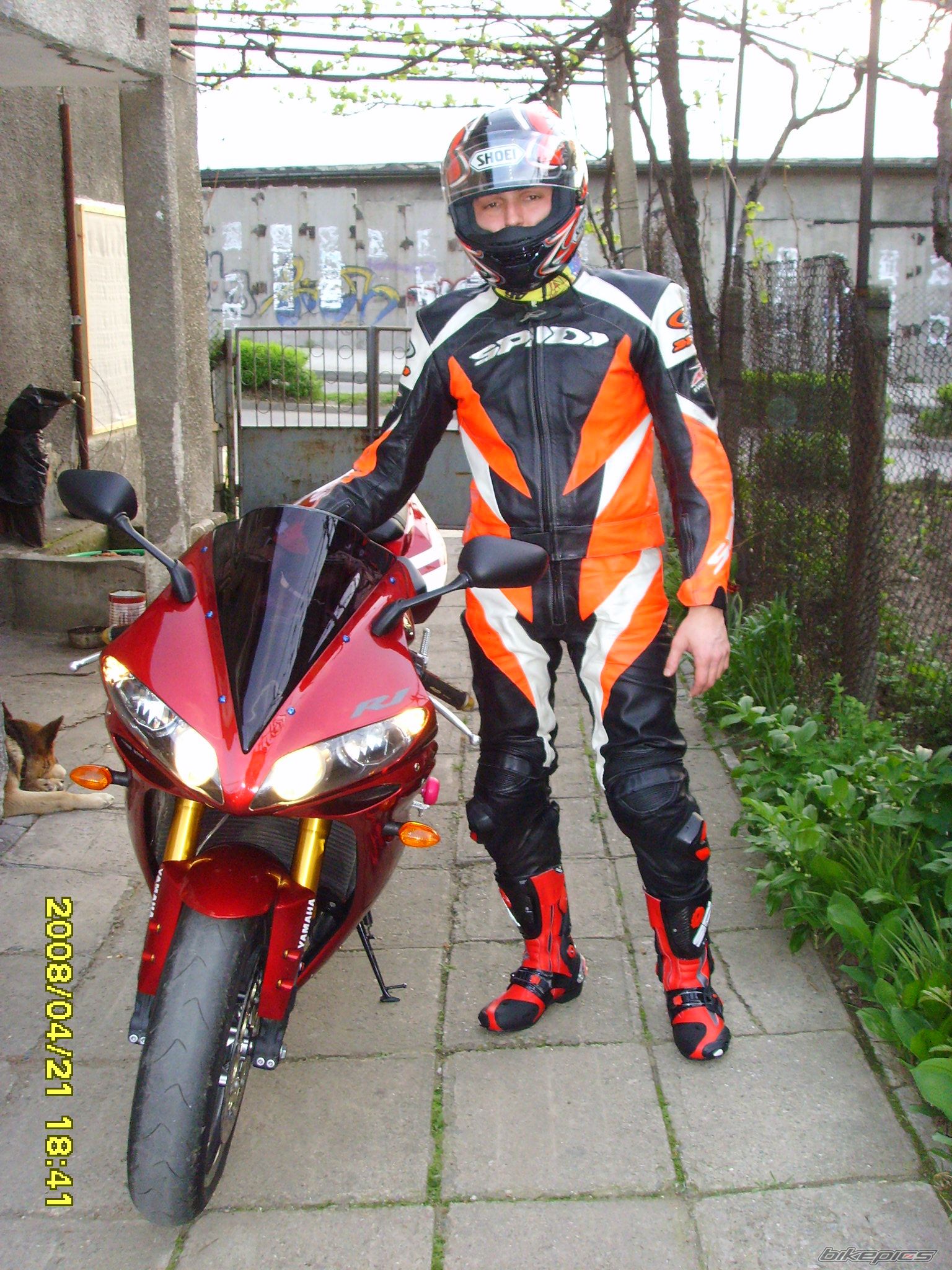 Photo 1287131