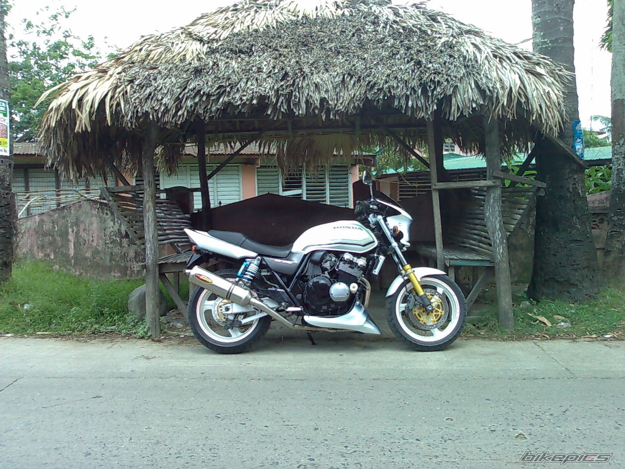 Photo 1287181