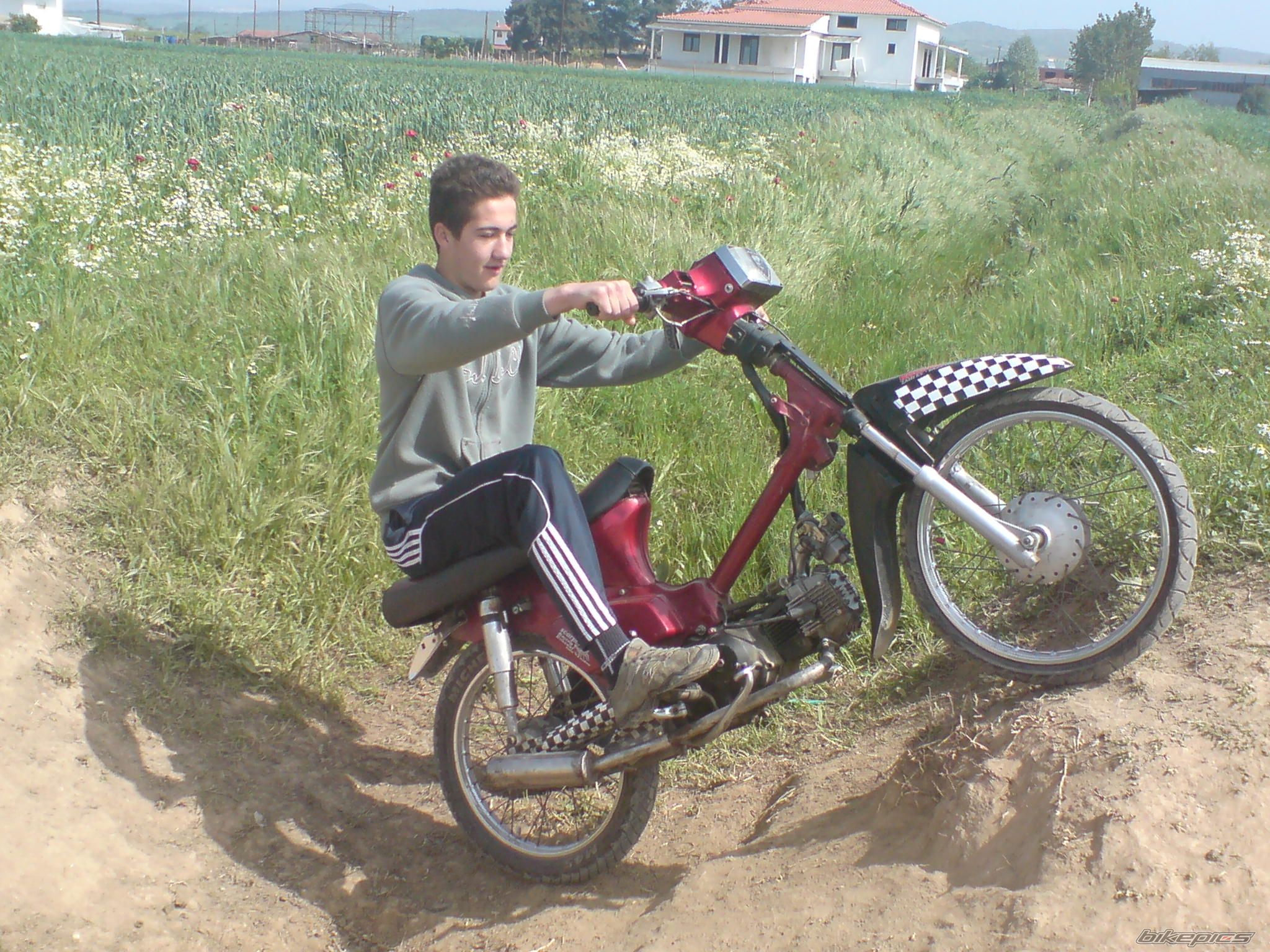 Photo 1287192