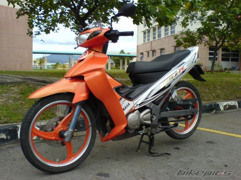 Photo 1287194
