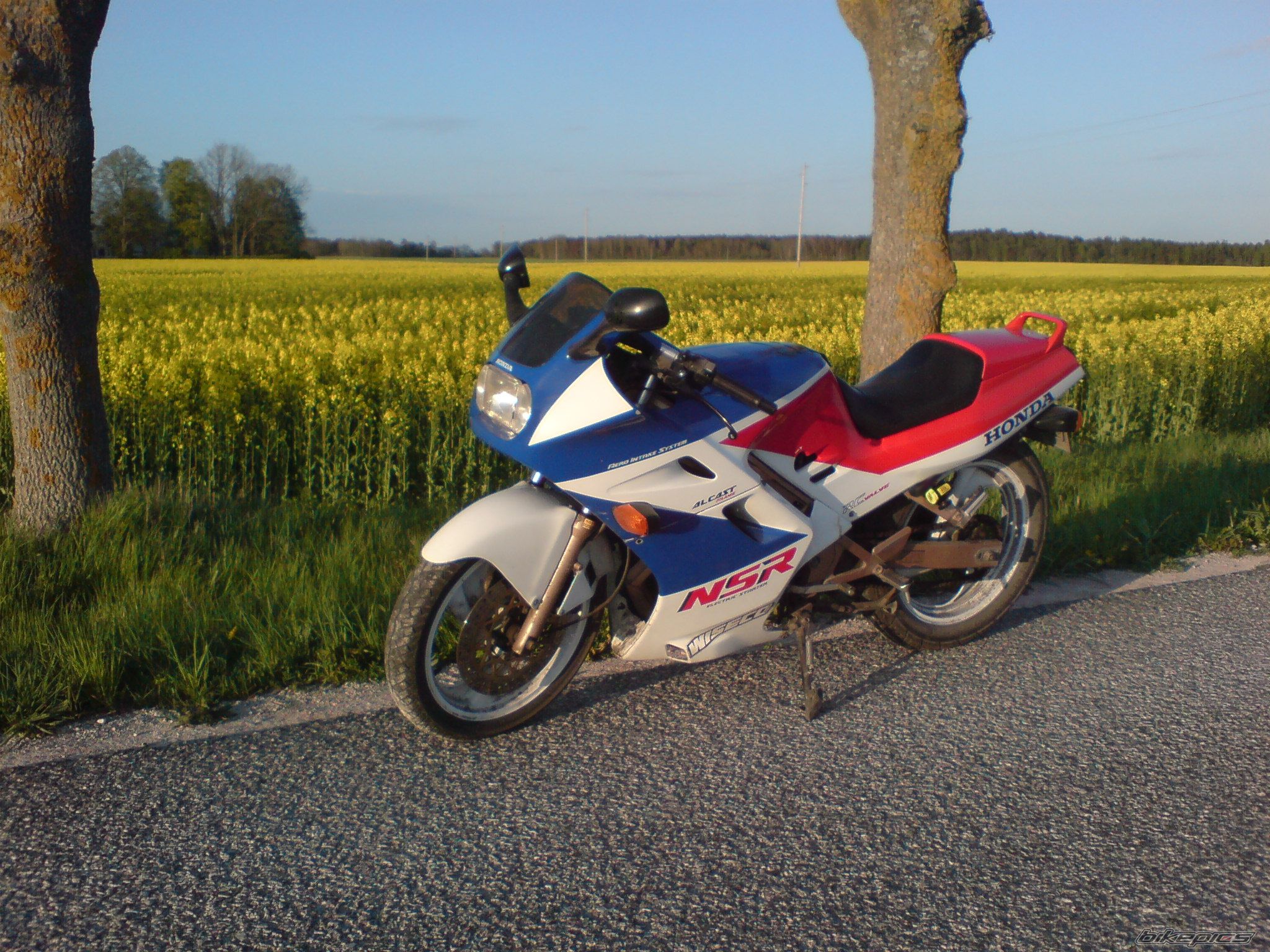 Bike Photo 1287227