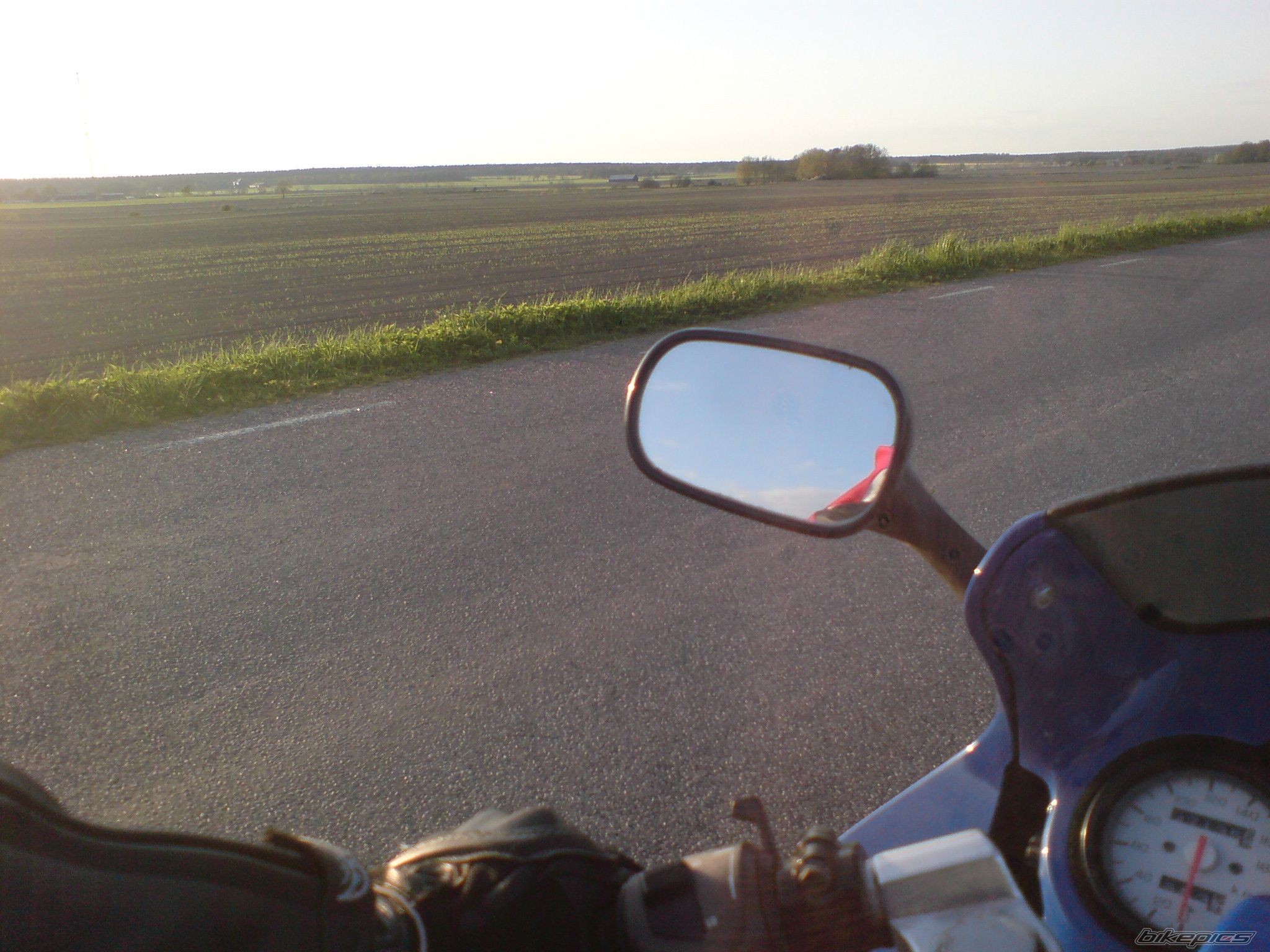 Photo 1287230