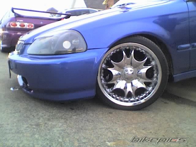 Photo 1287240