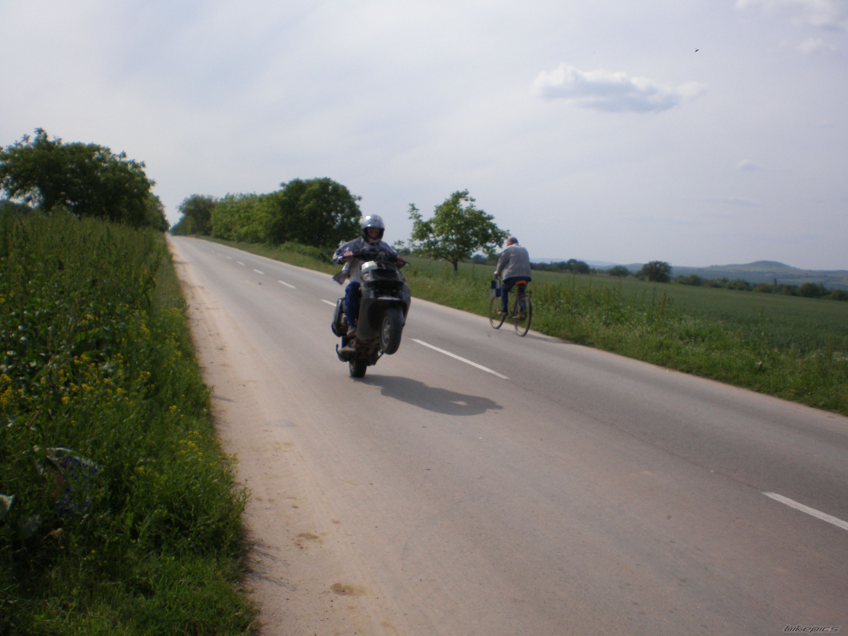 Photo 1287382