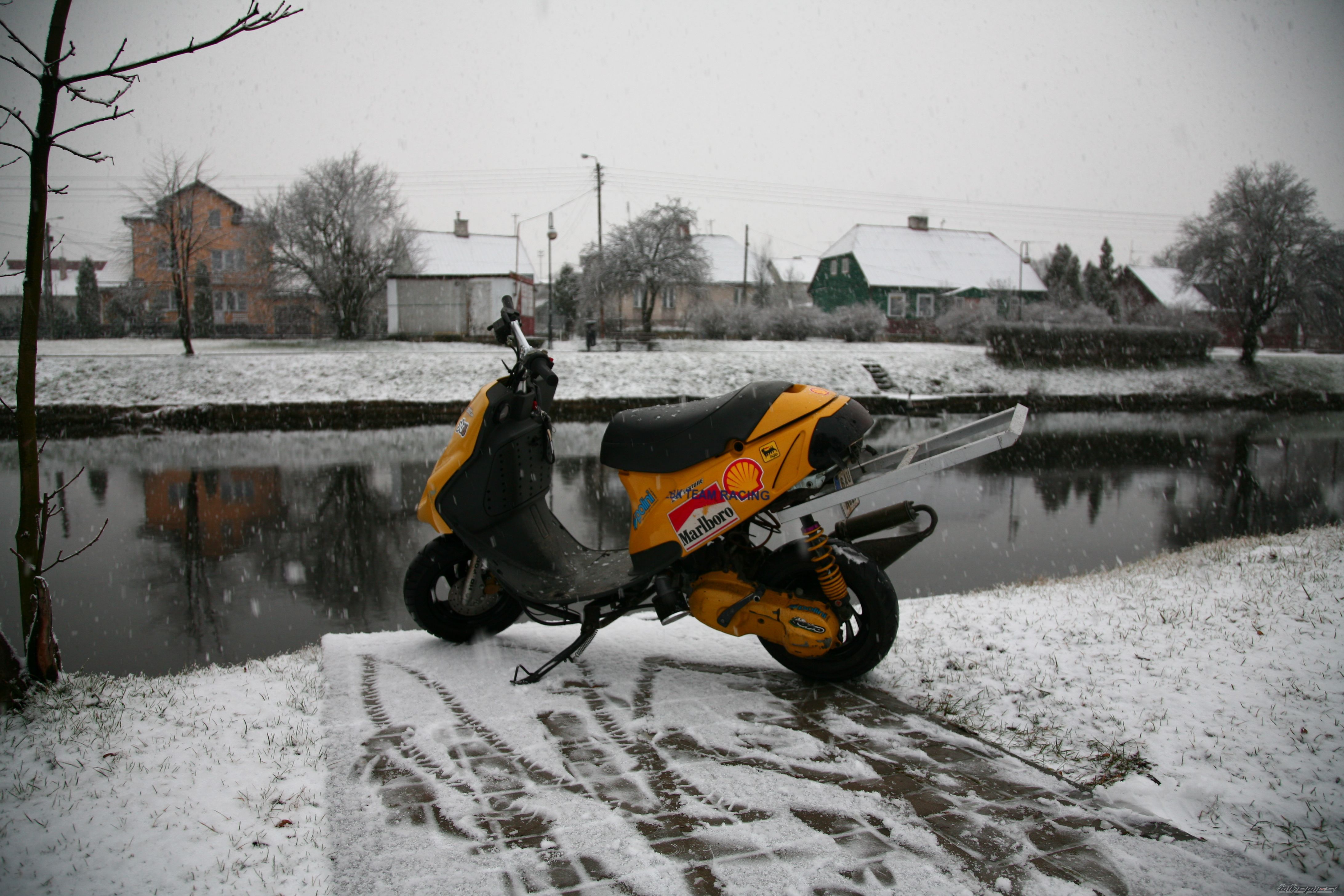 Photo 1287383