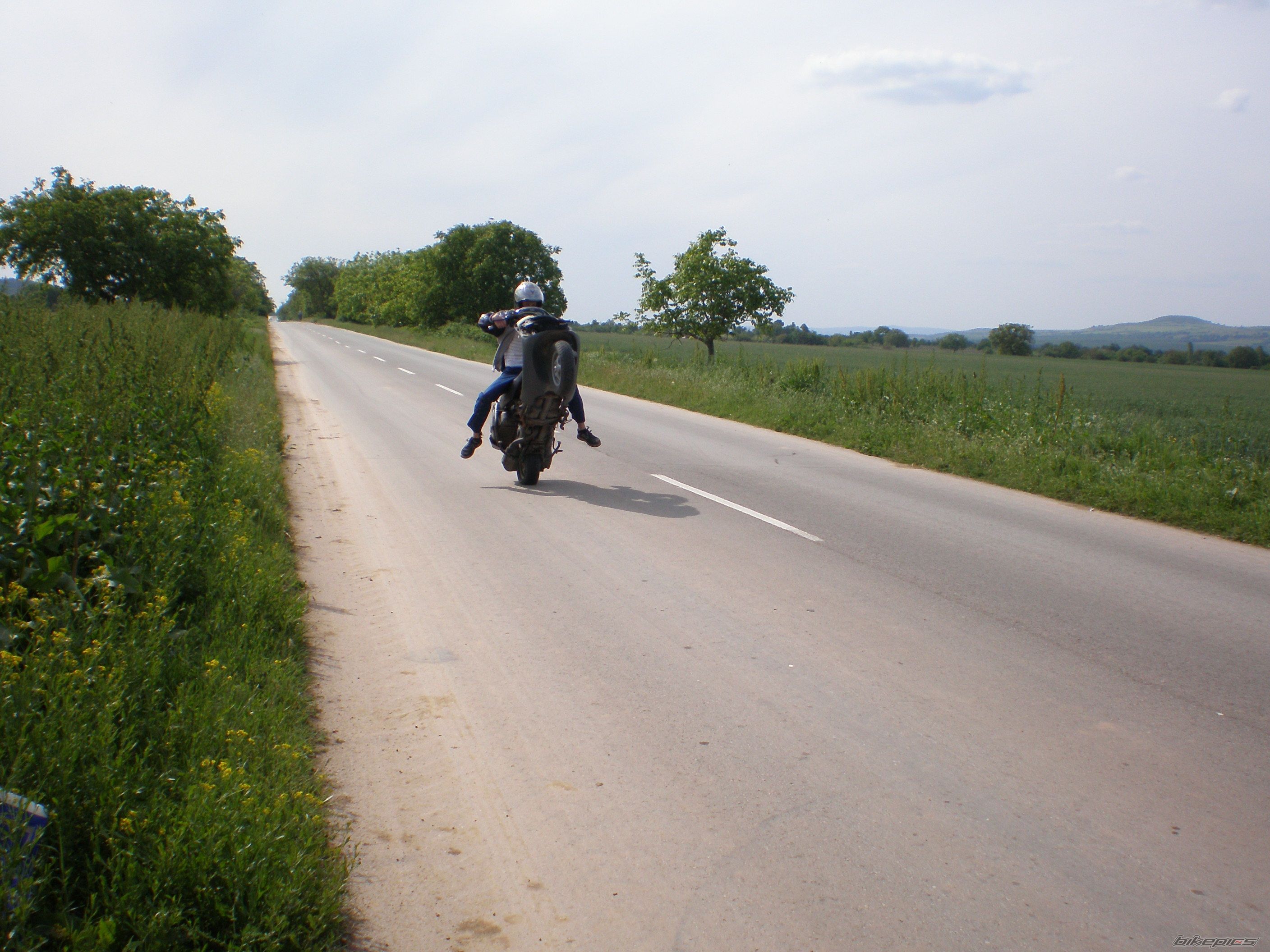 Photo 1287388