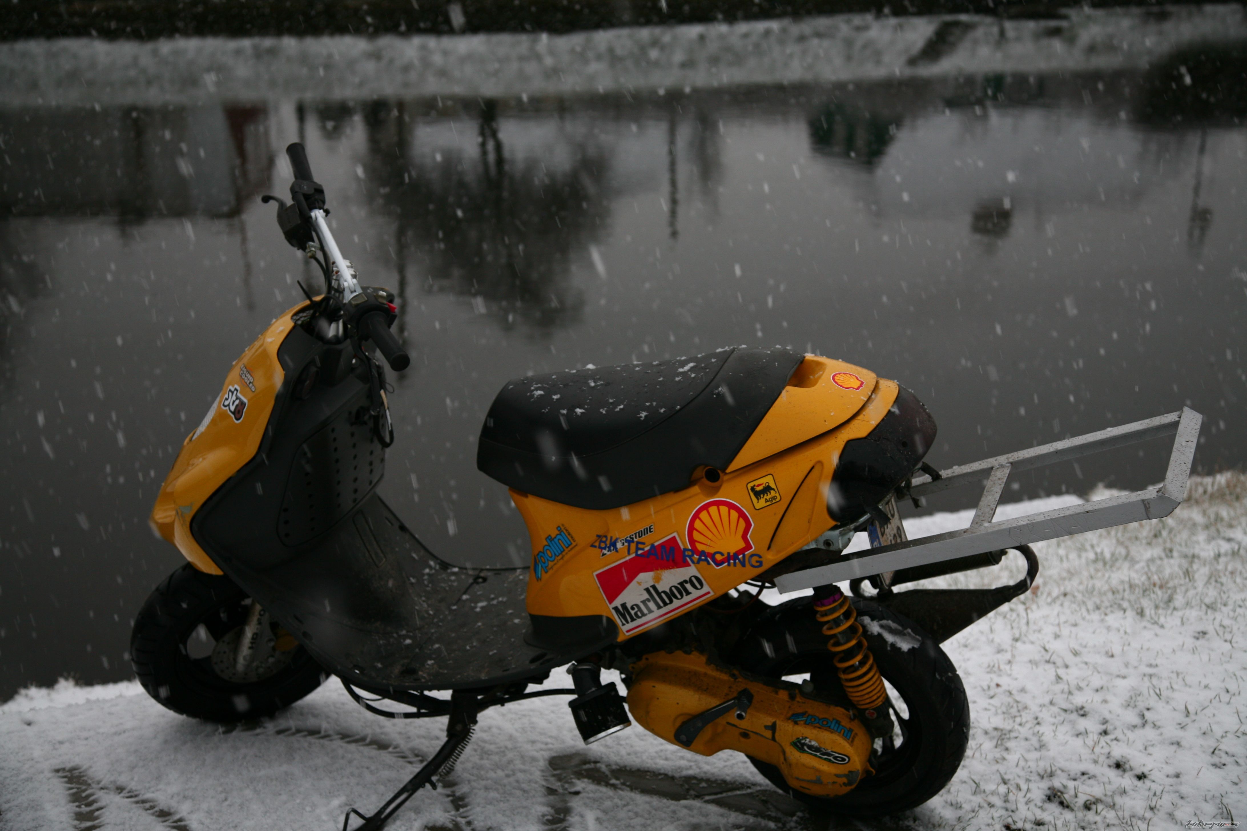 Photo 1287389