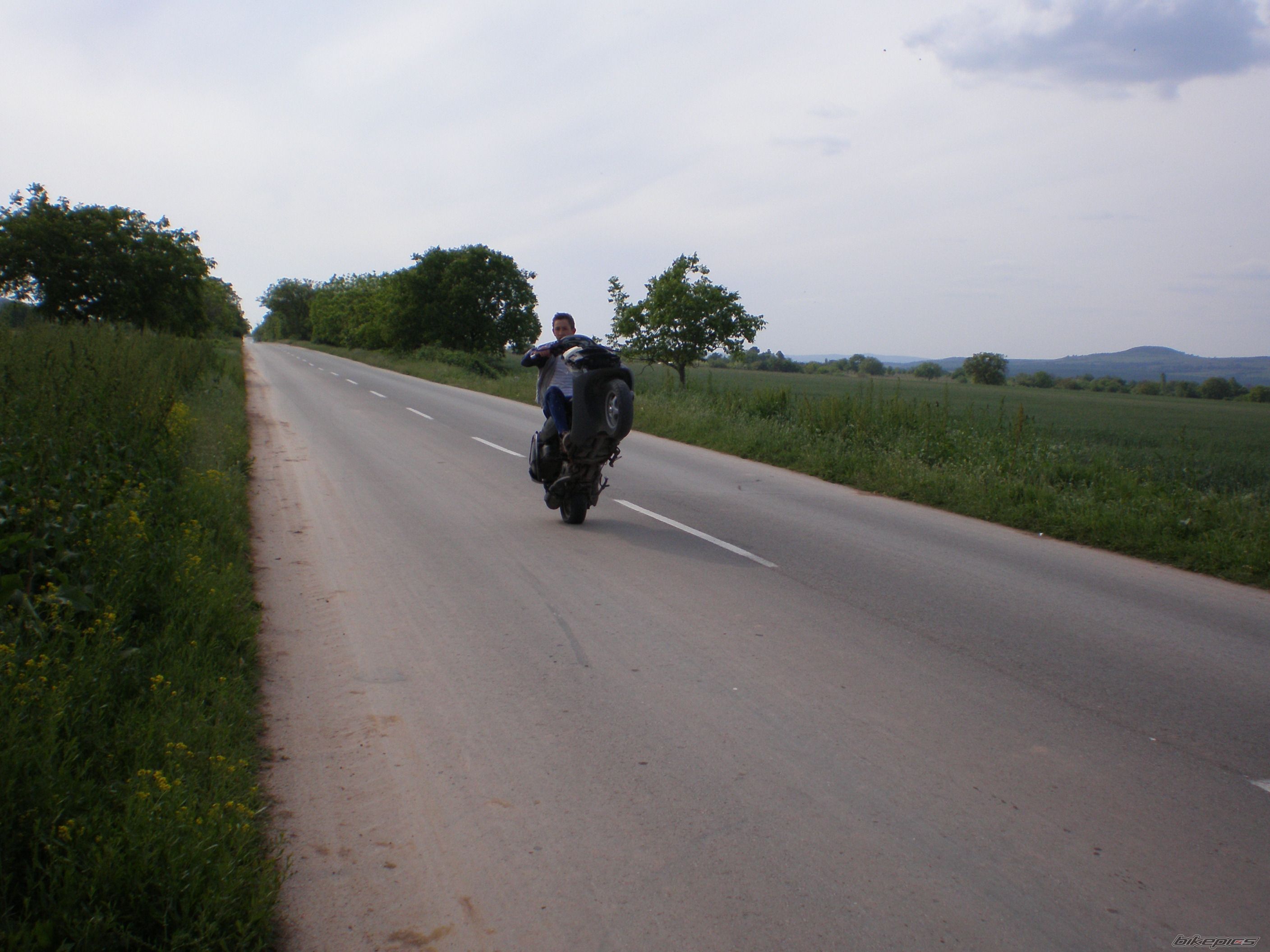 Photo 1287397