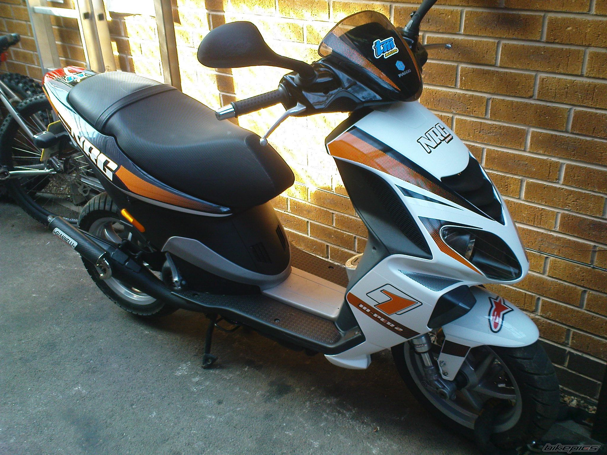 Photo 1287399