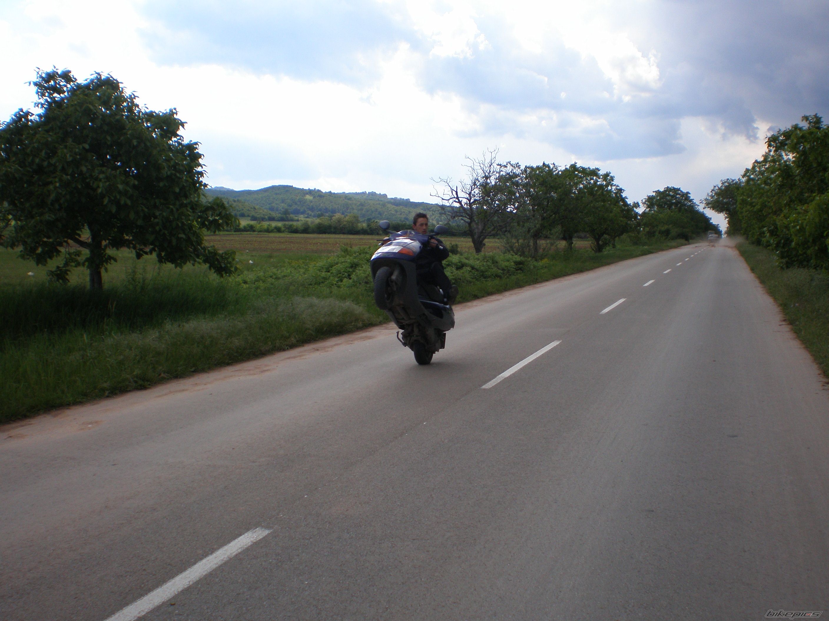Photo 1287401