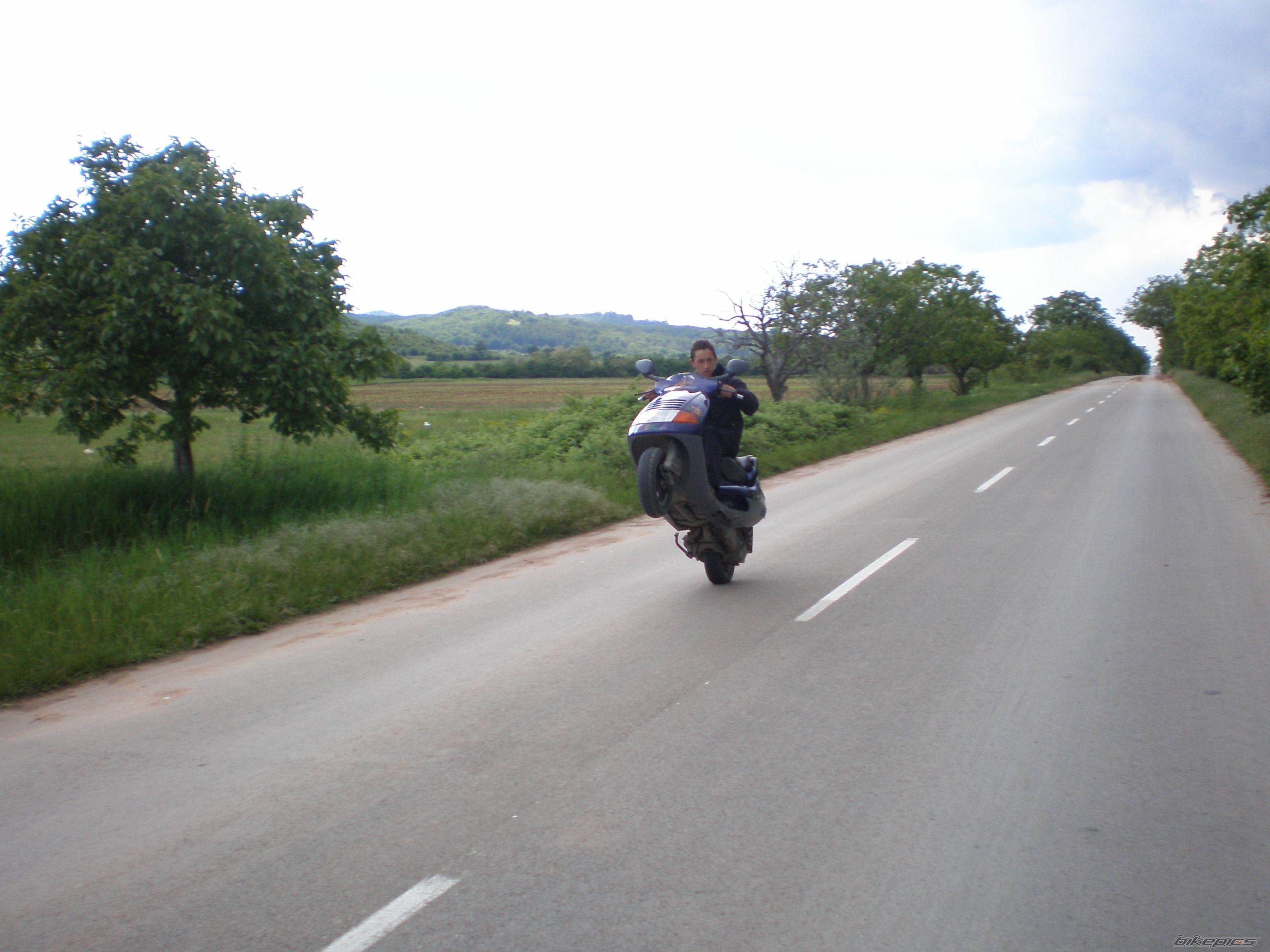 Photo 1287402