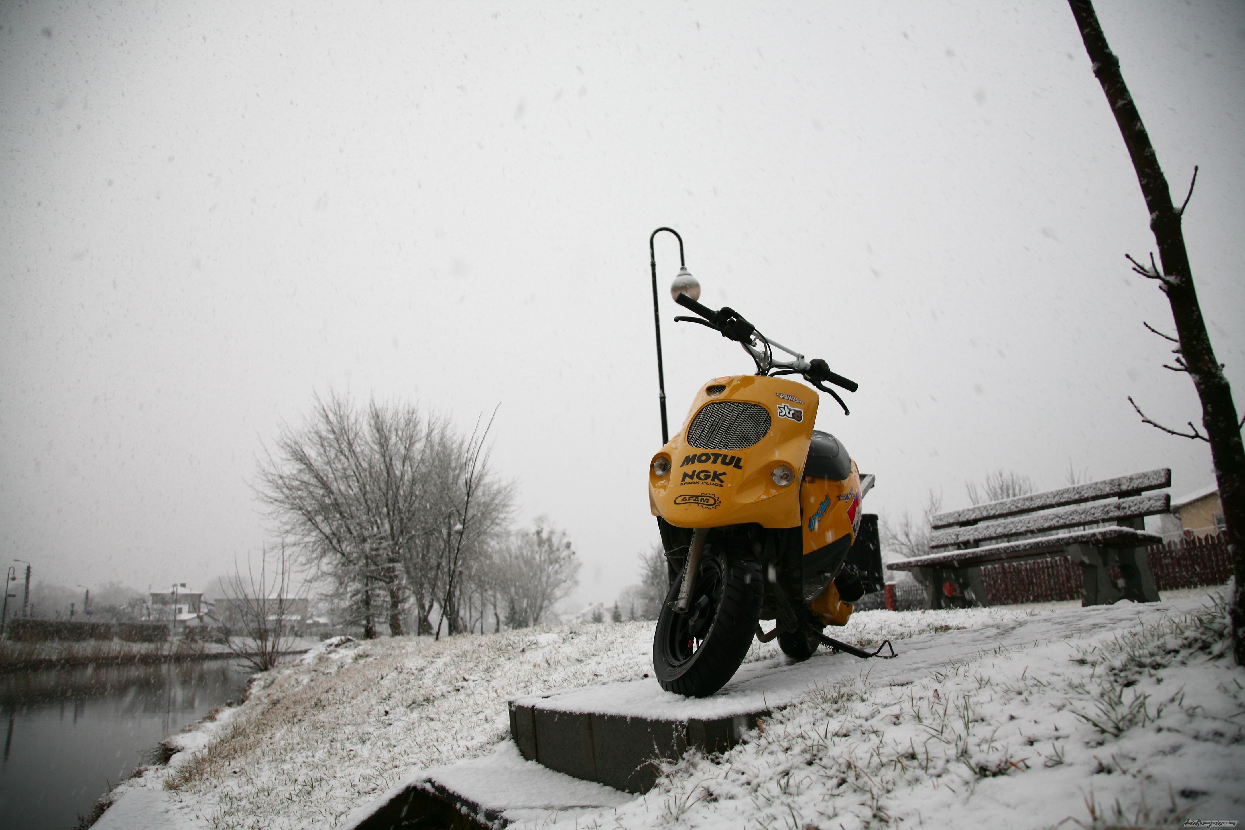 Photo 1287404