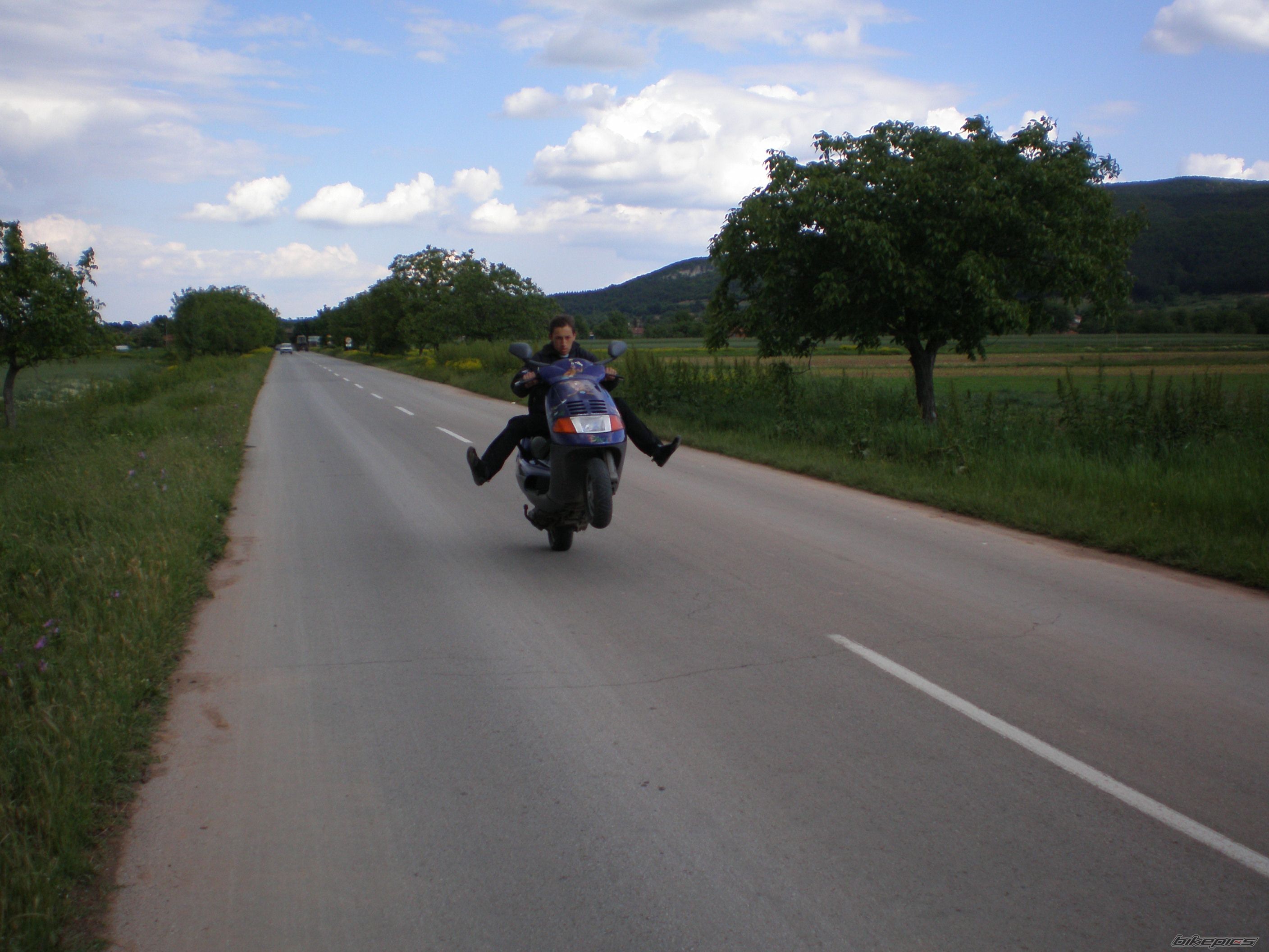 Photo 1287405