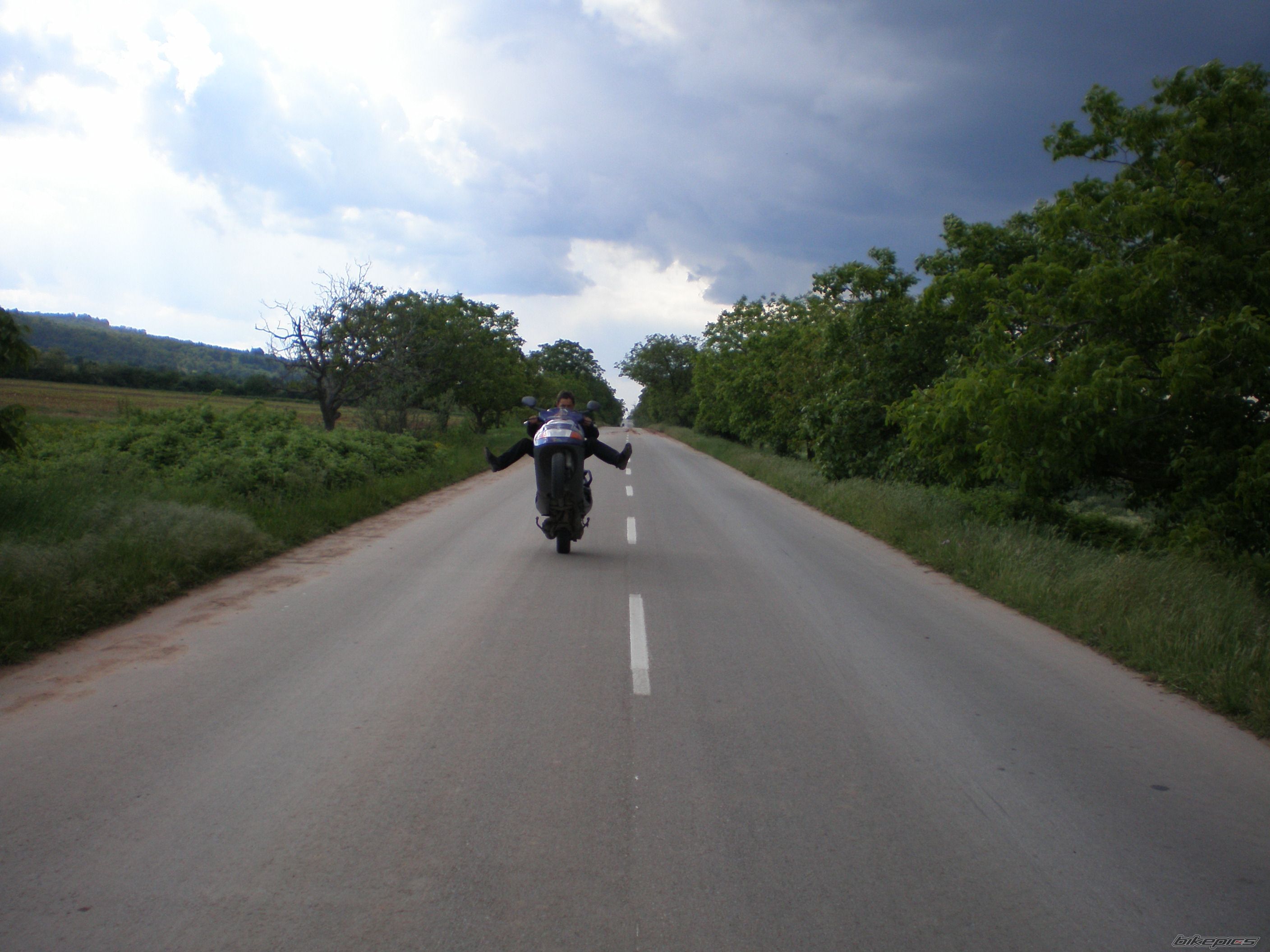 Photo 1287408