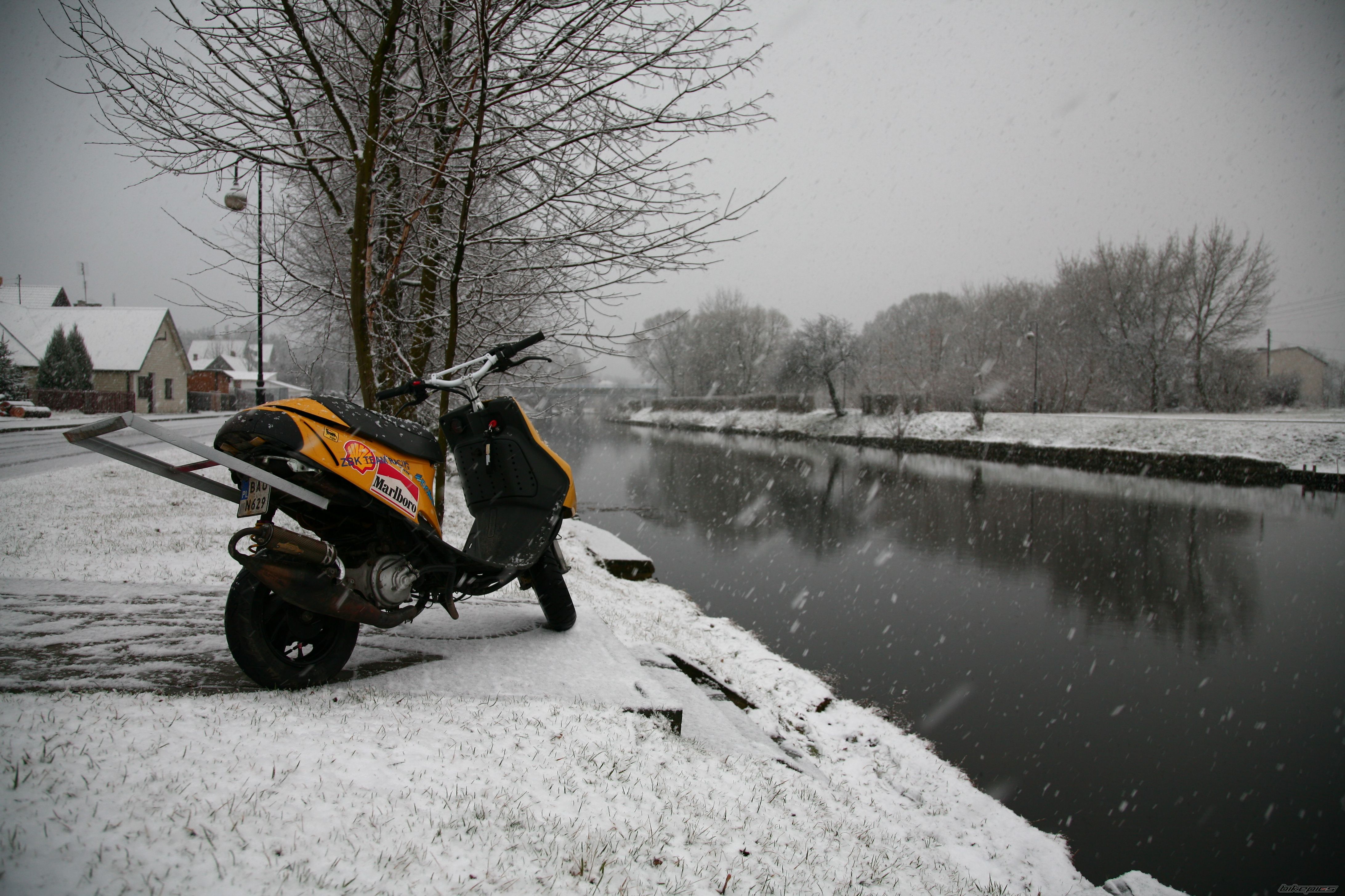 Photo 1287409