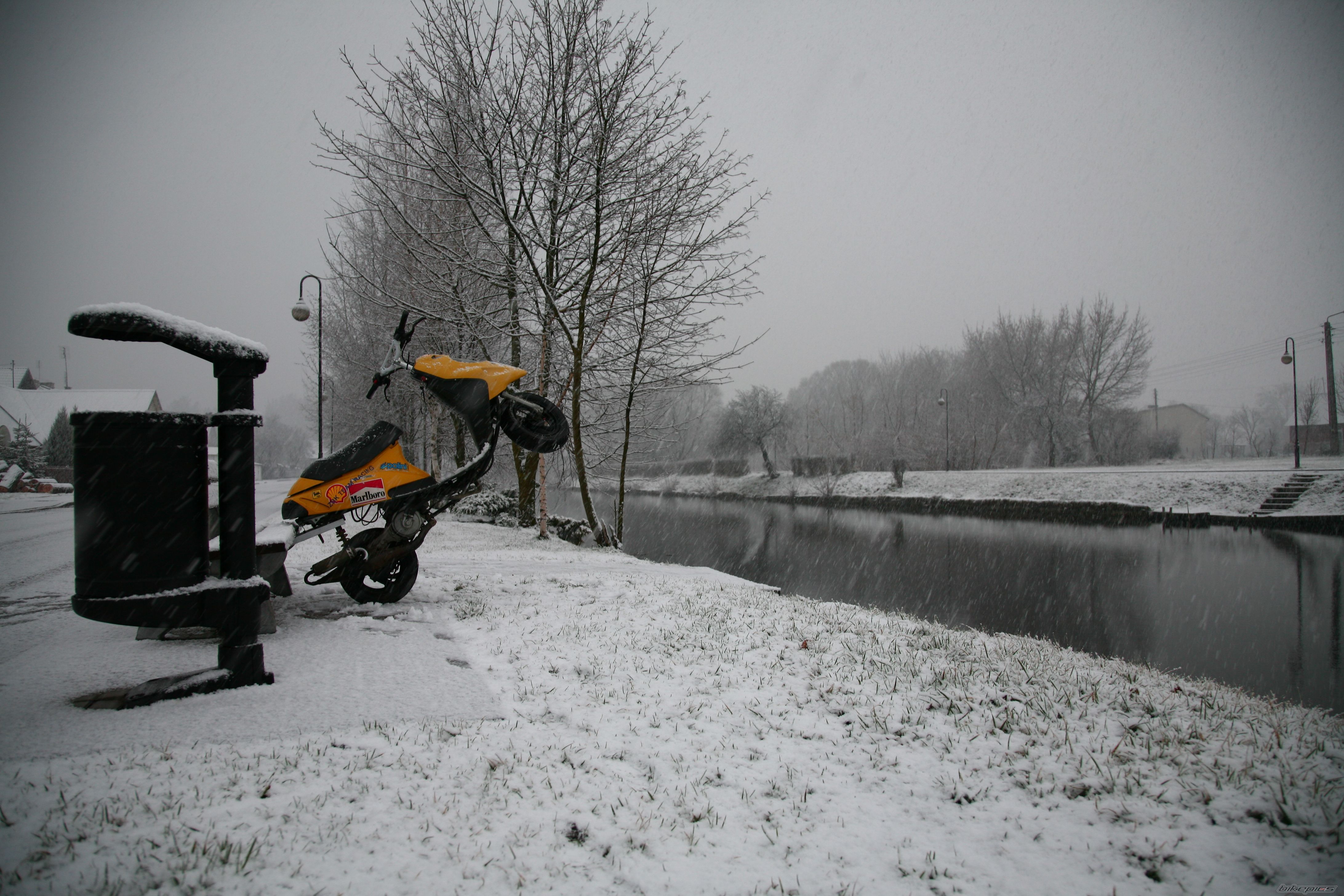 Photo 1287415