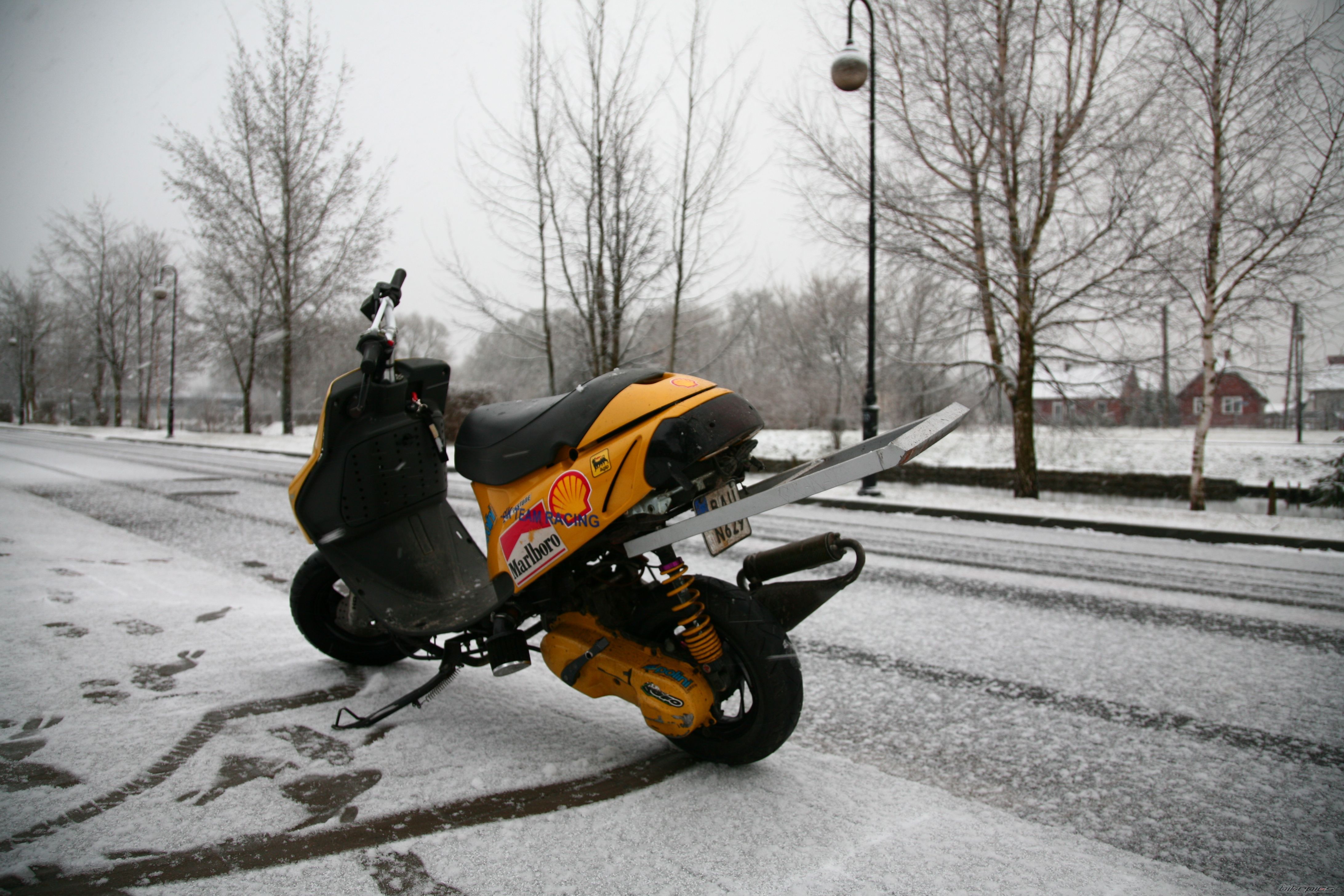 Photo 1287432