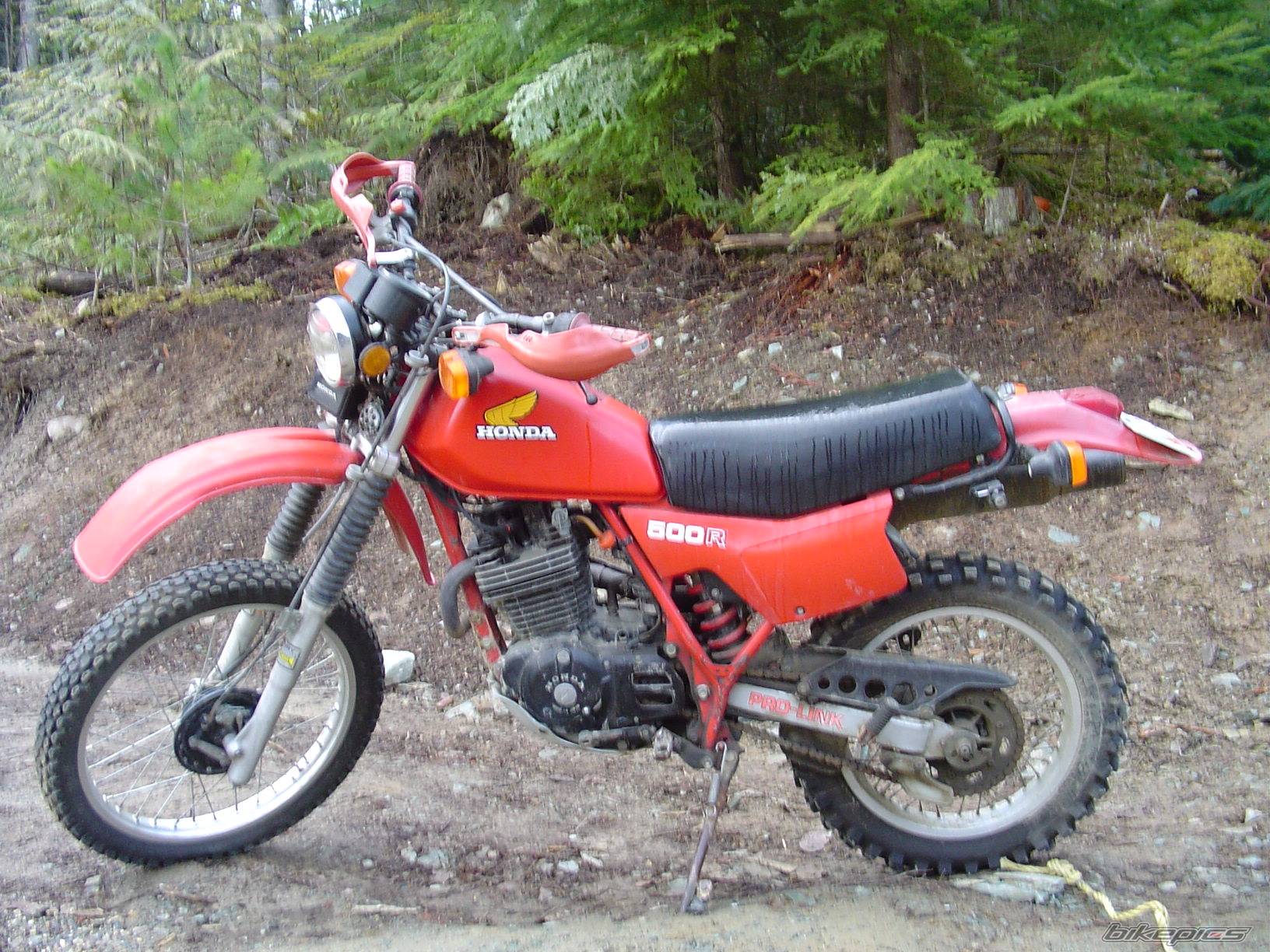 Photo 128744