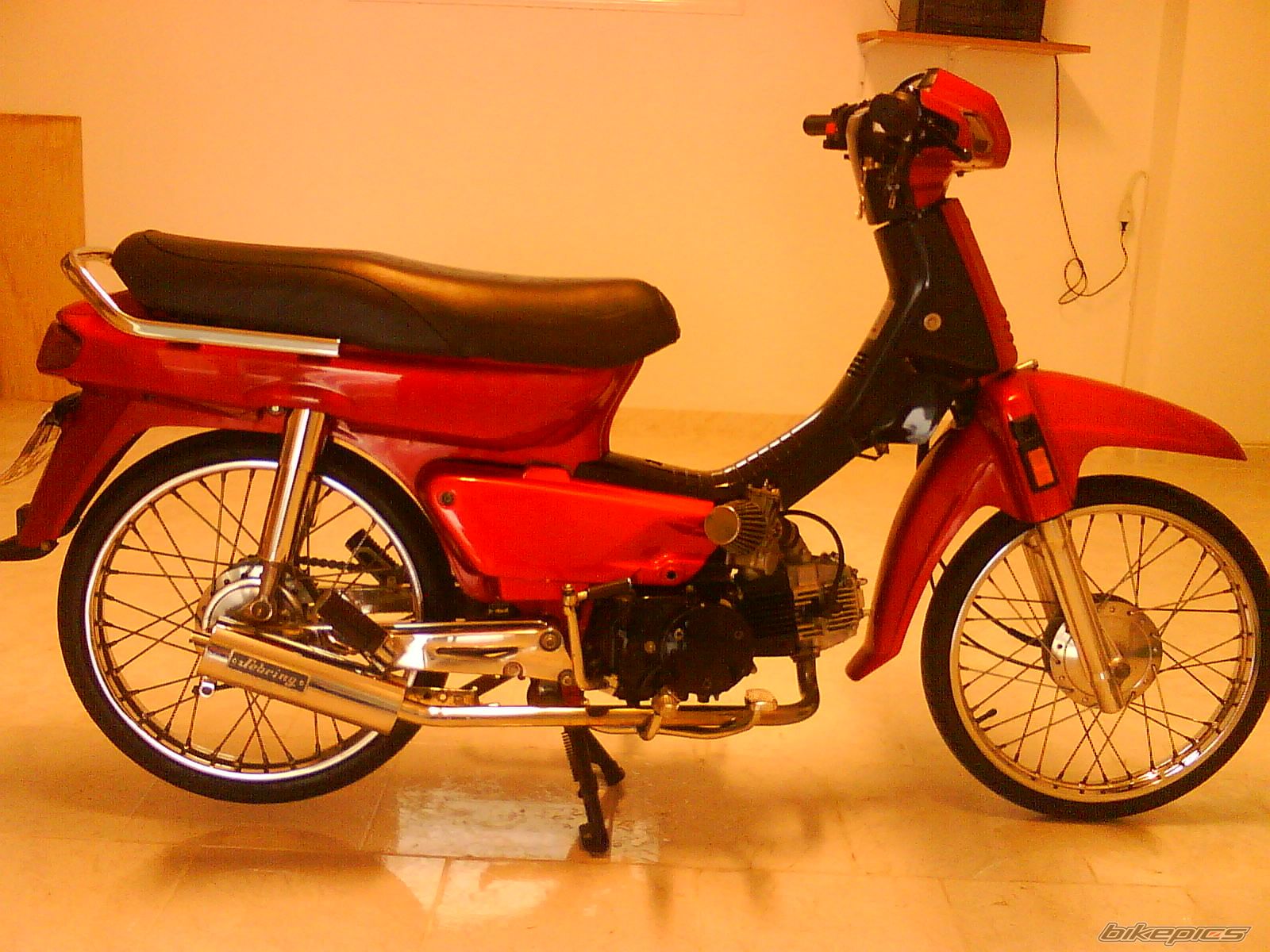 Photo 1287462