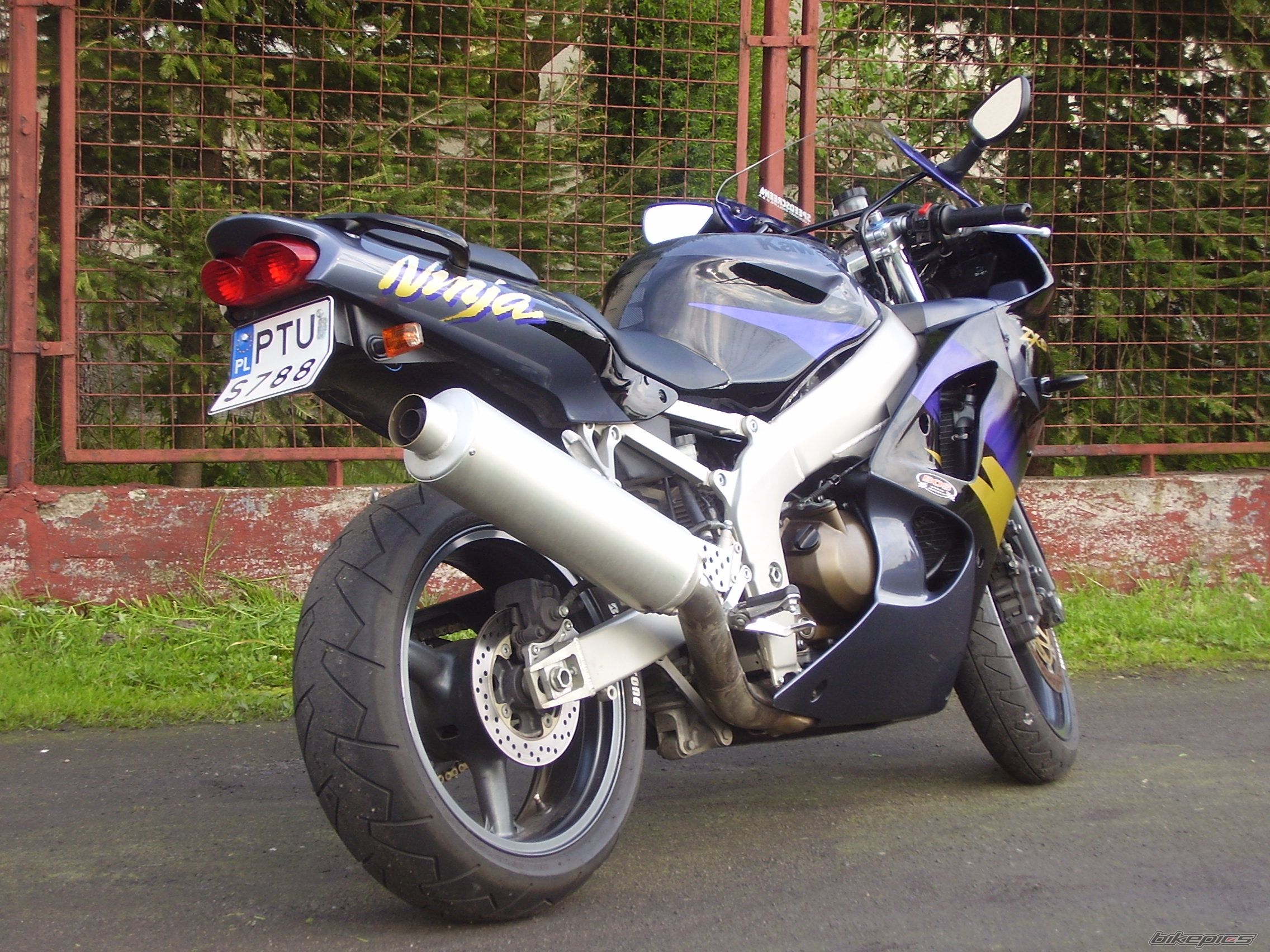 Photo 1287471