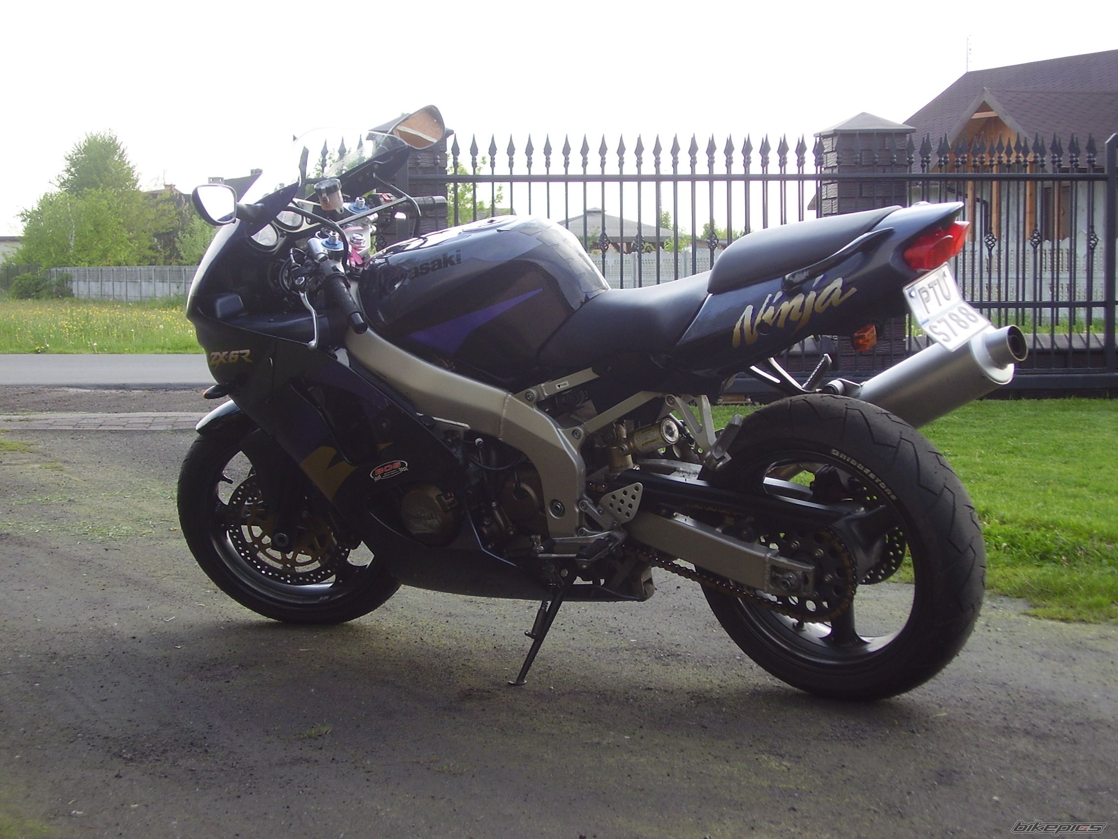 Photo 1287502