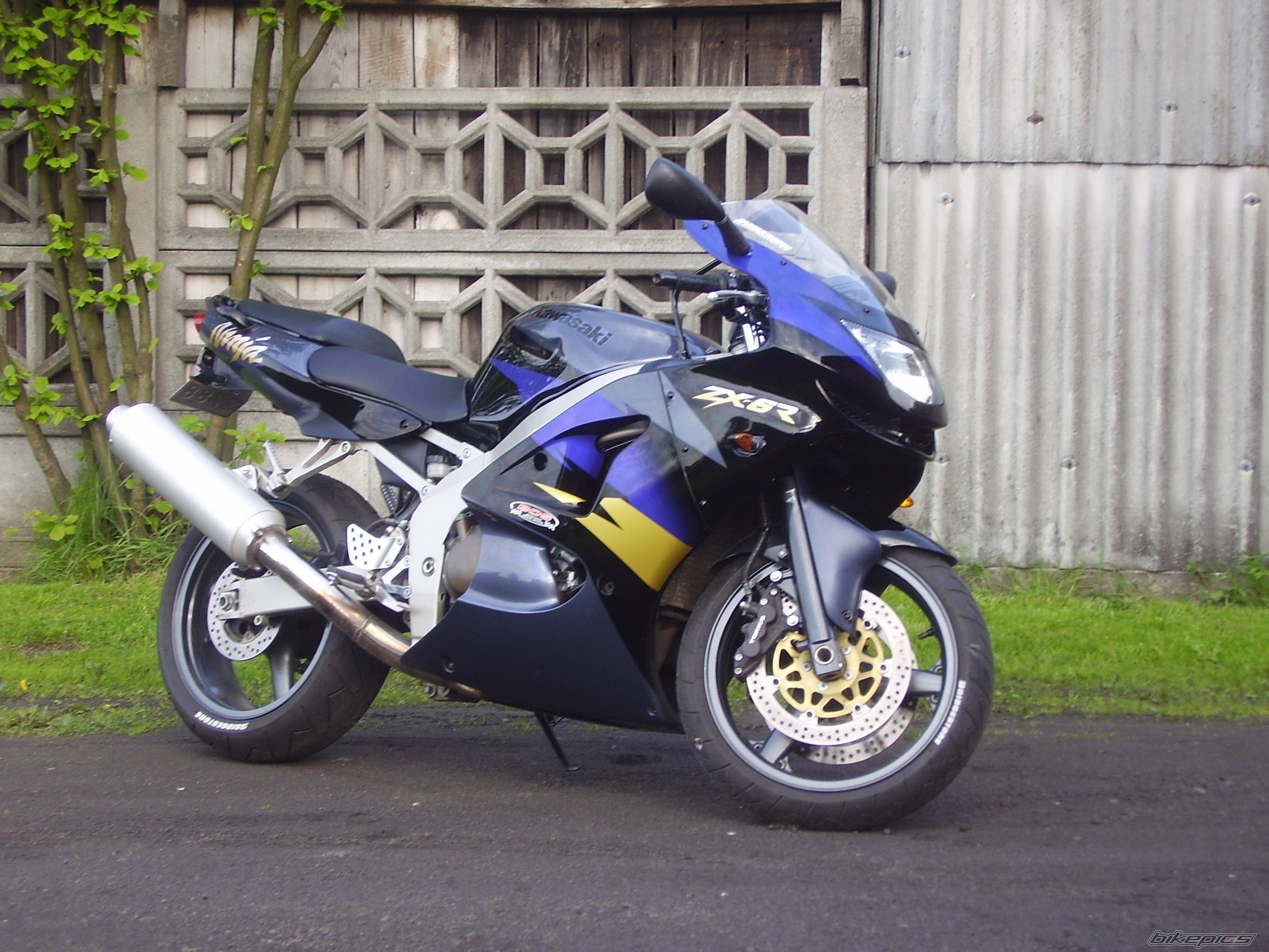 Photo 1287509