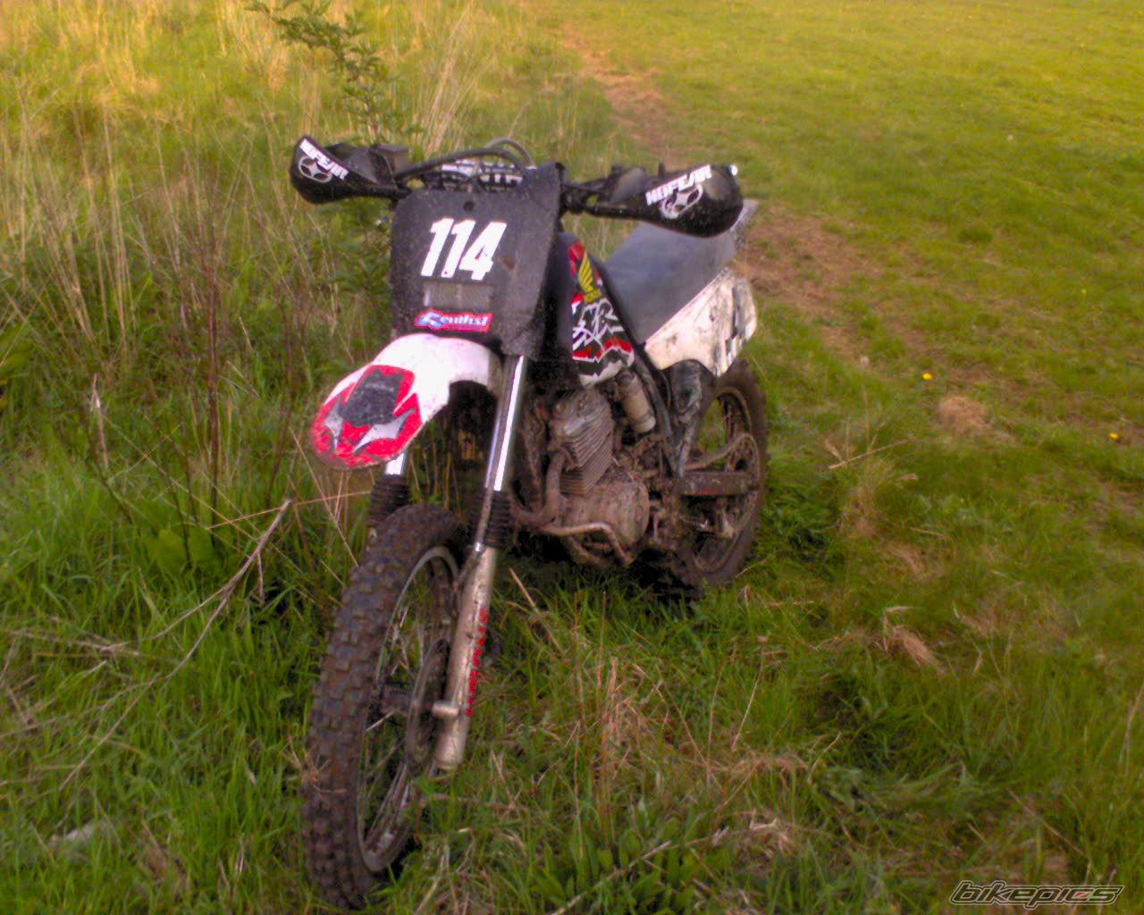 Photo 1287532