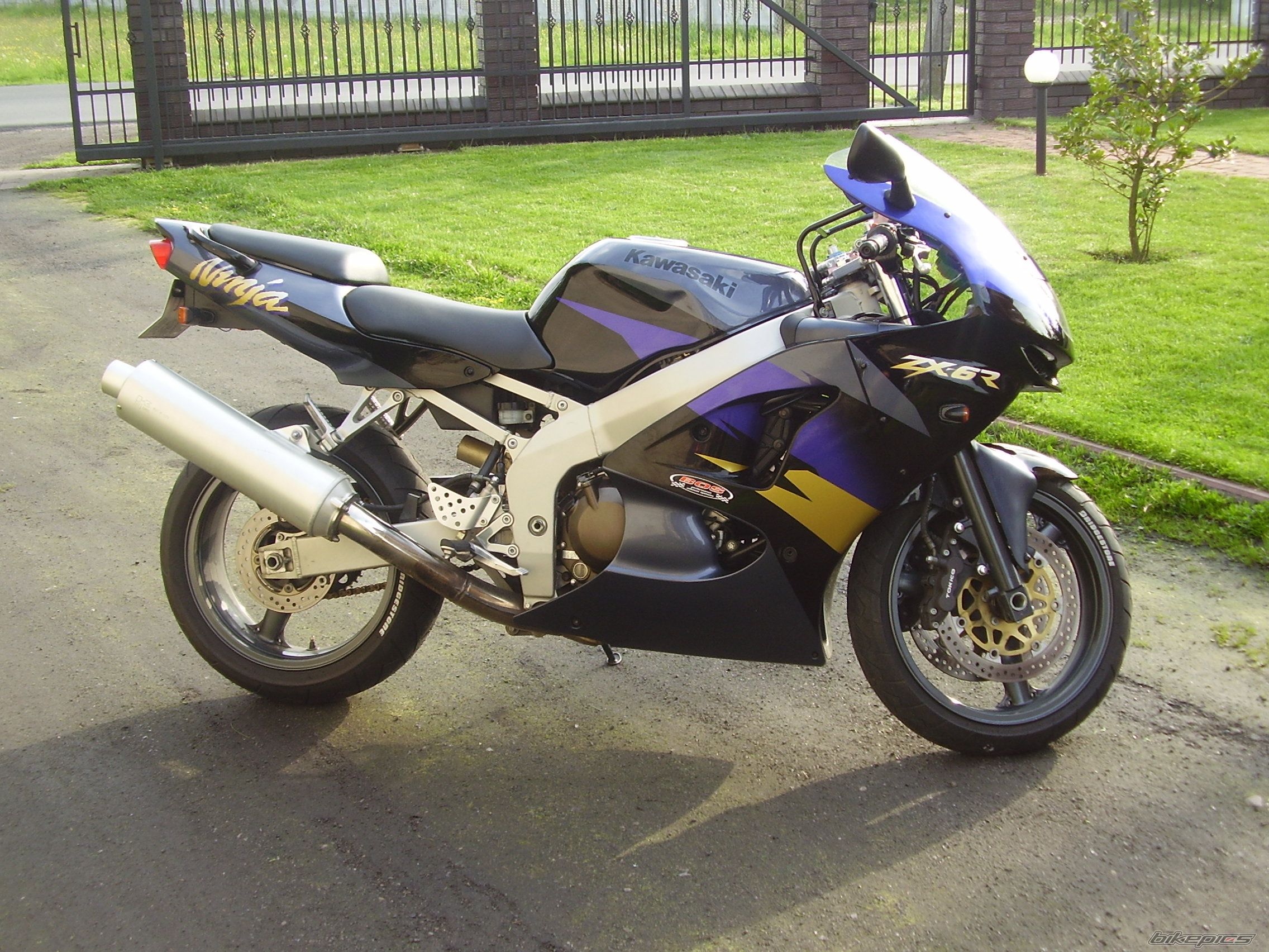 Photo 1287538