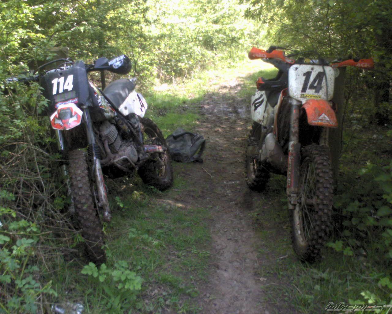 Photo 1287539
