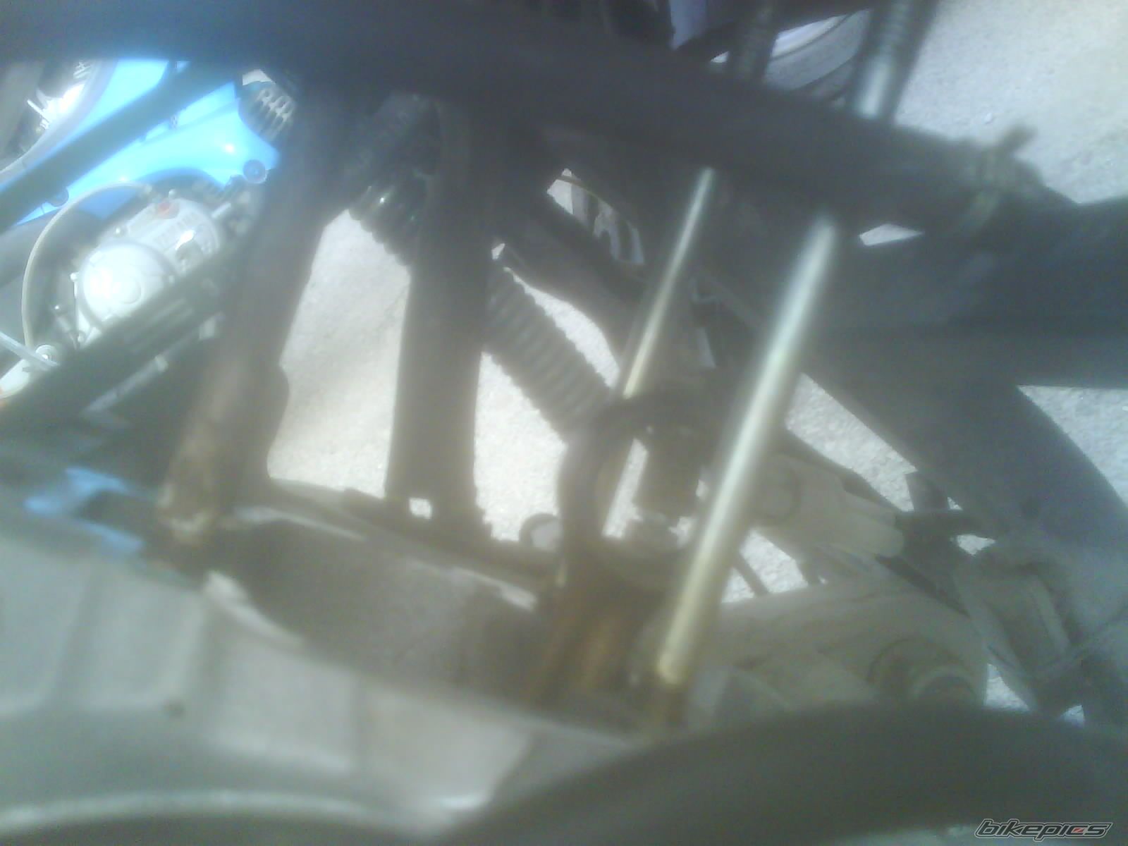 Photo 1287541