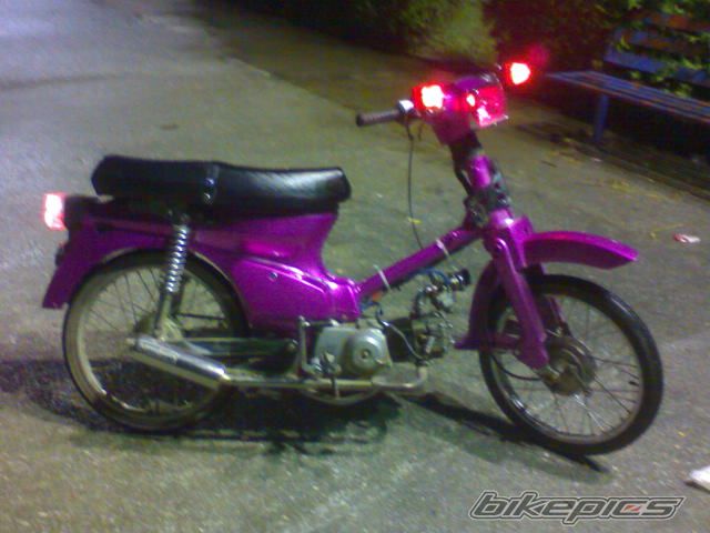 Photo 1287598