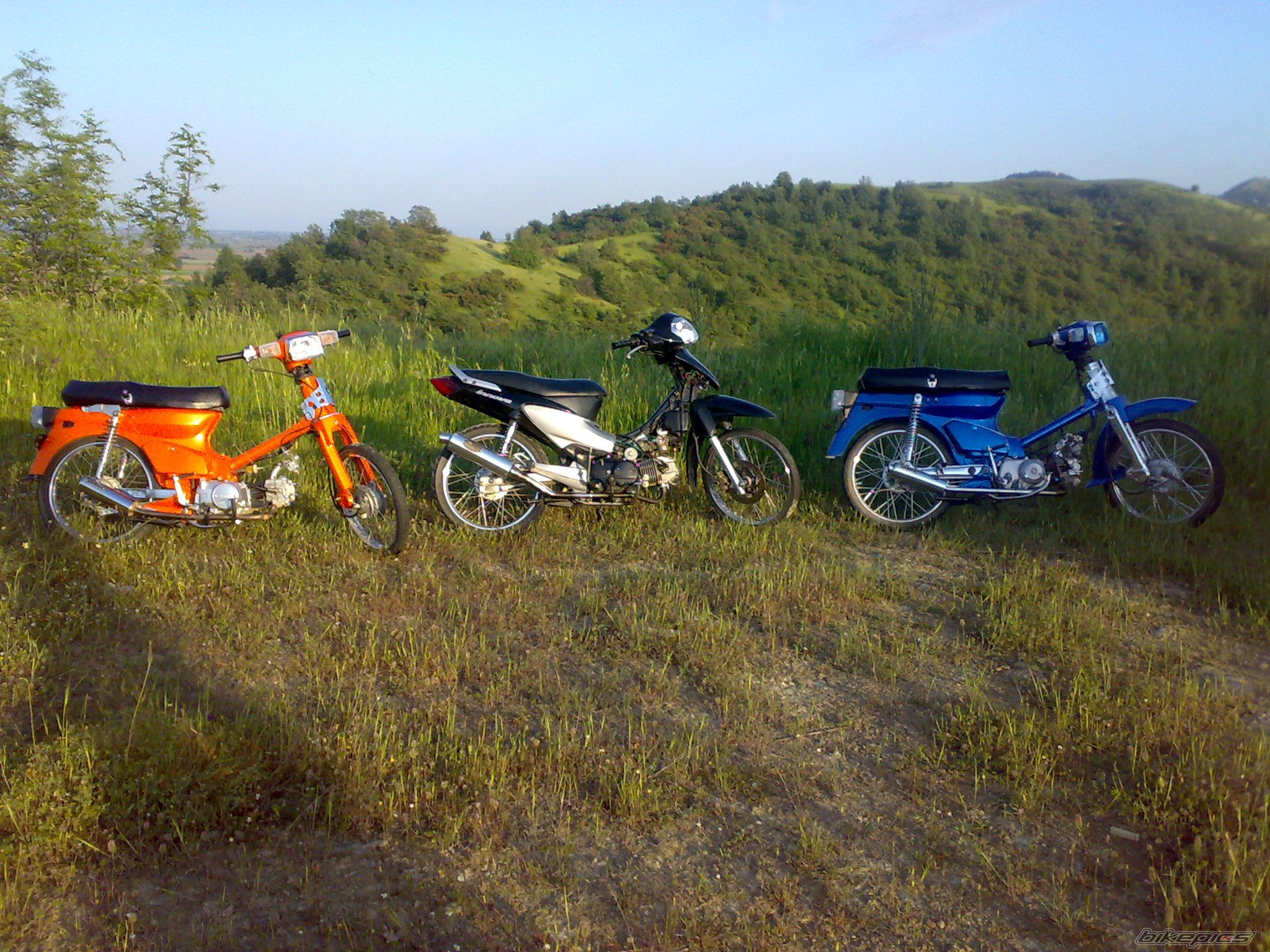 Photo 1287622