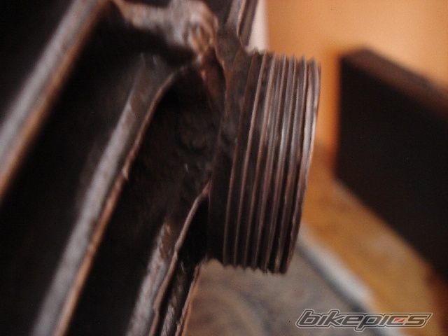 Photo 1287639