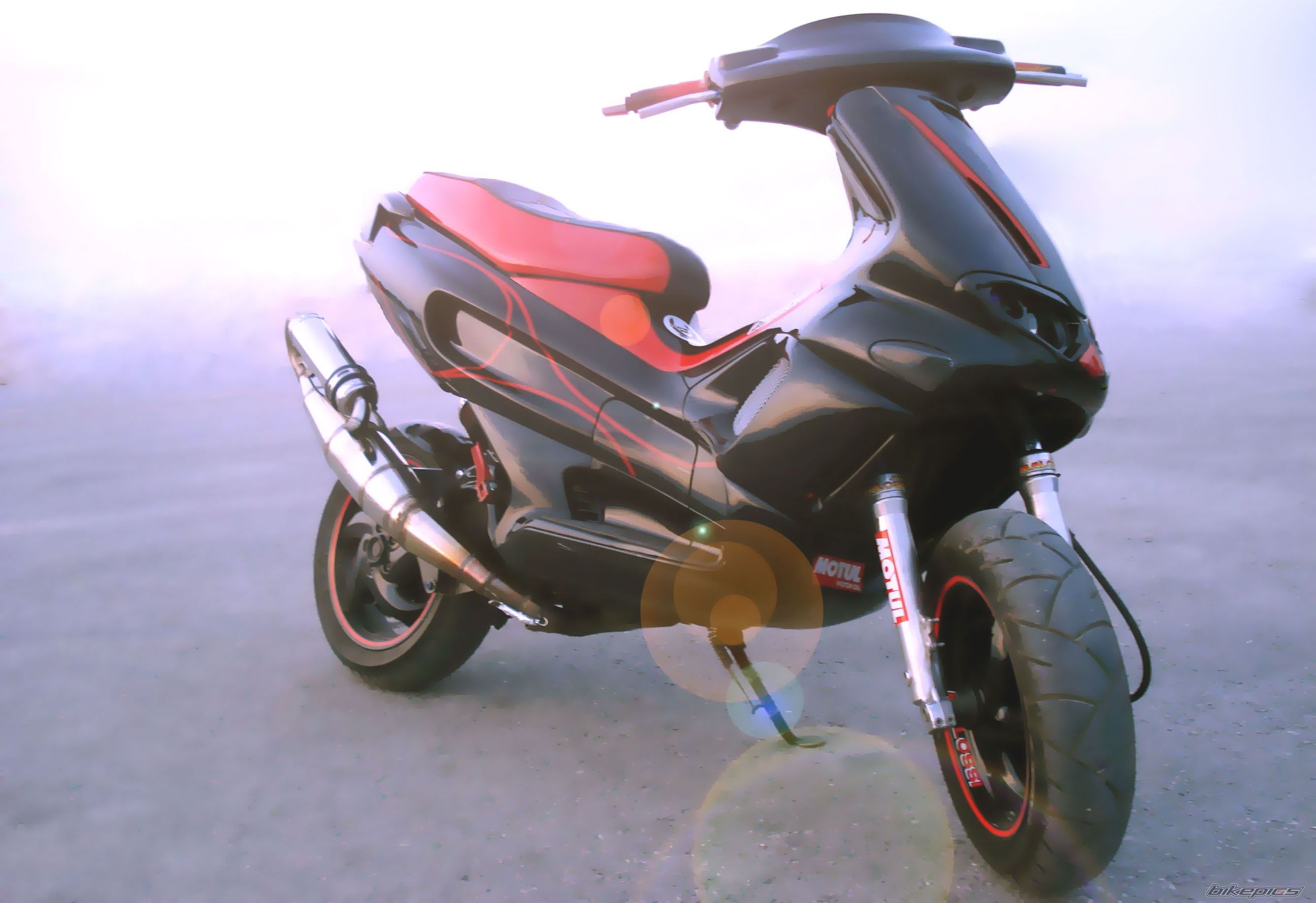 Photo 1287685