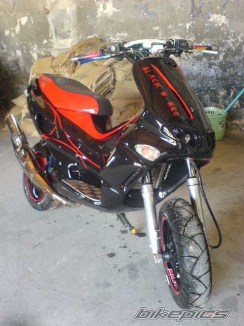Photo 1287699