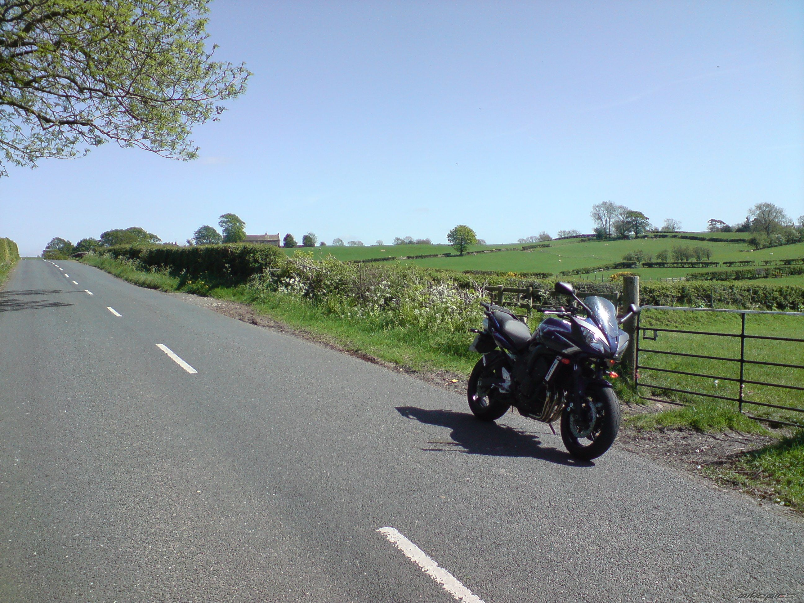 Photo 1287747