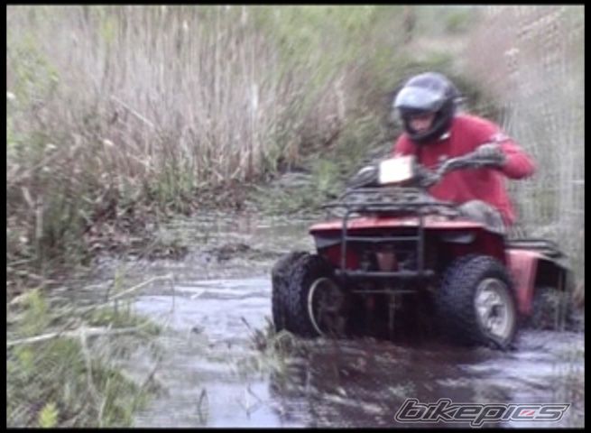 Photo 1287784